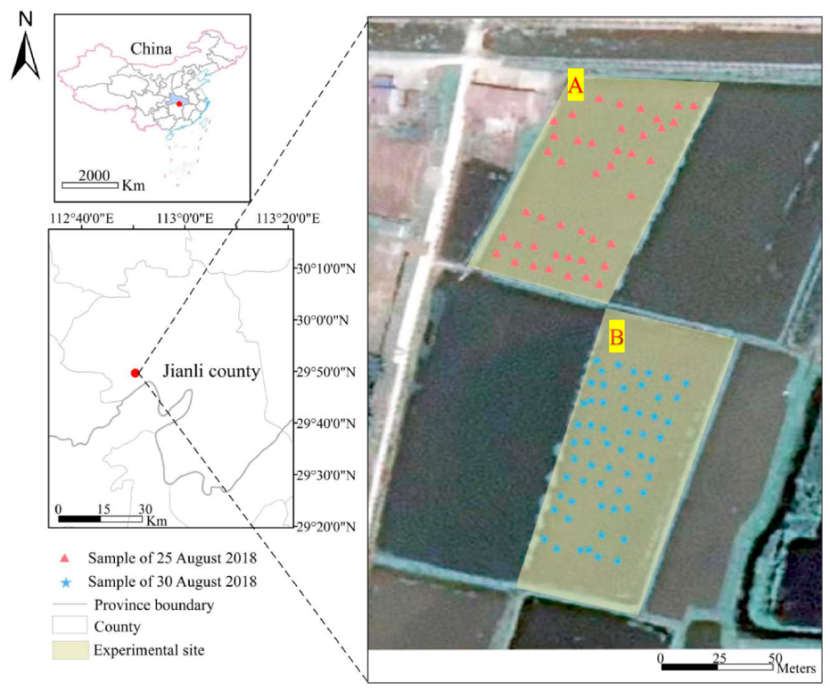 Sustainability 12 09343 g001