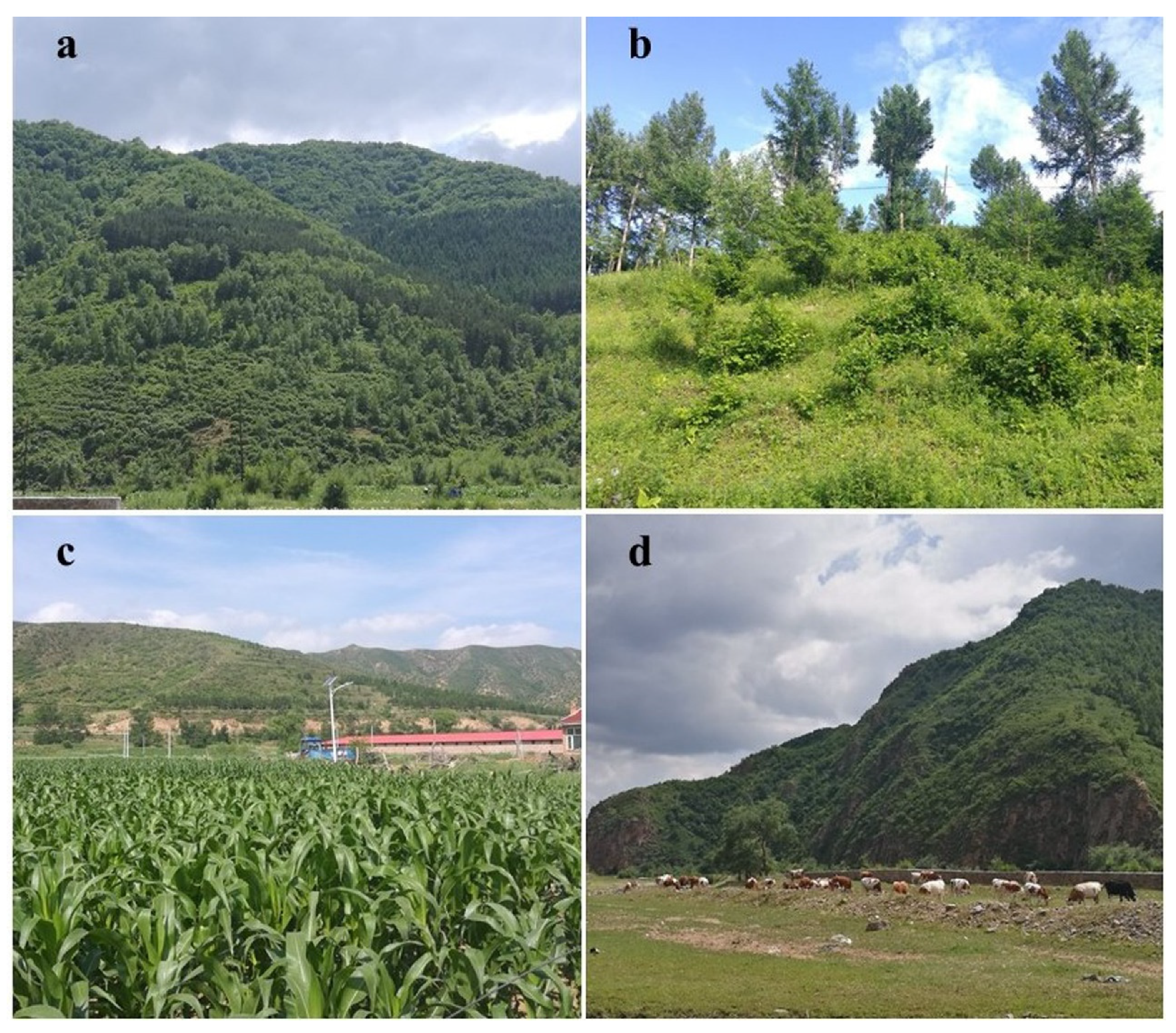 Sustainability 12 09359 g002 Sustainability 12 09359 g002