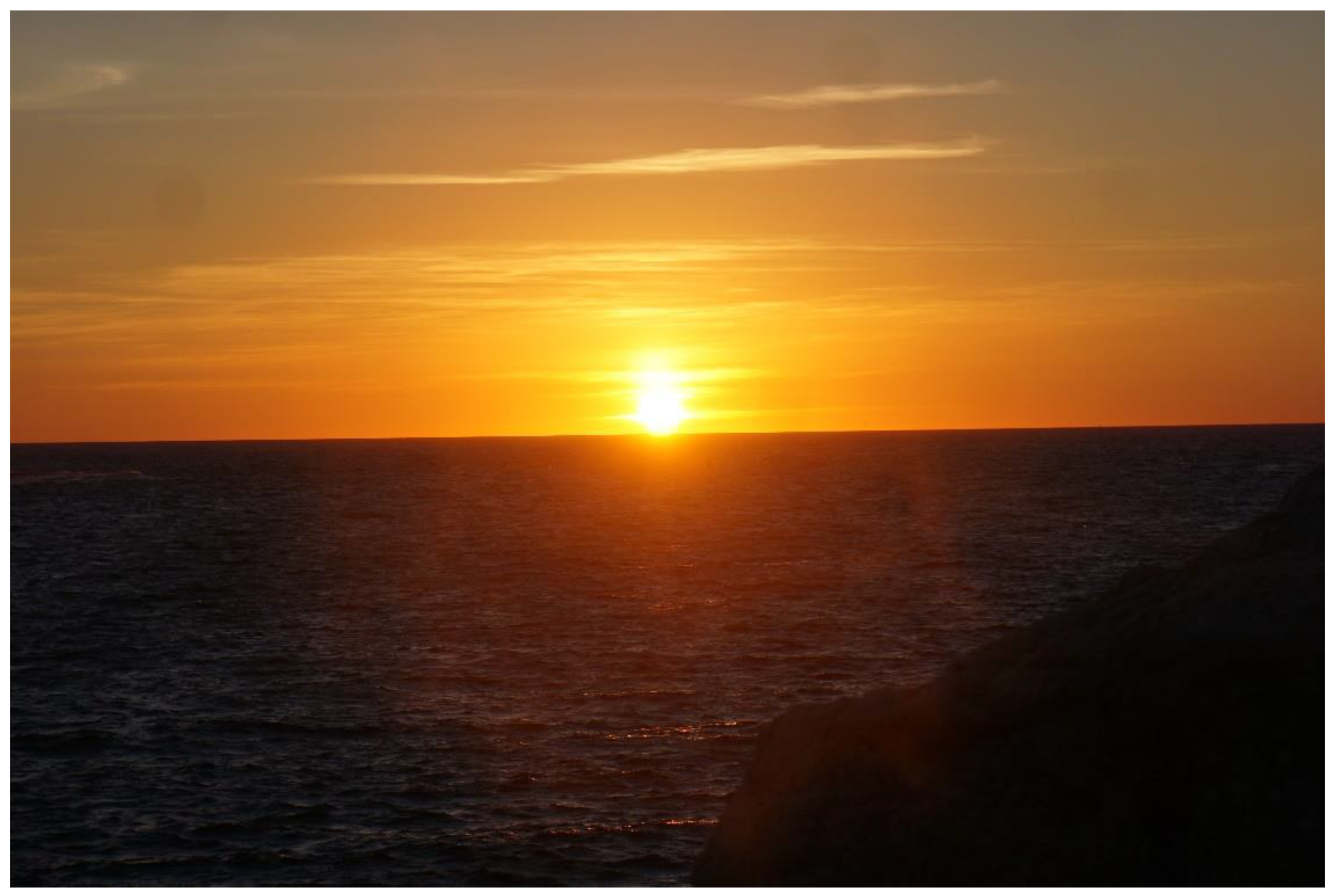 Sustainability 12 09429 g003