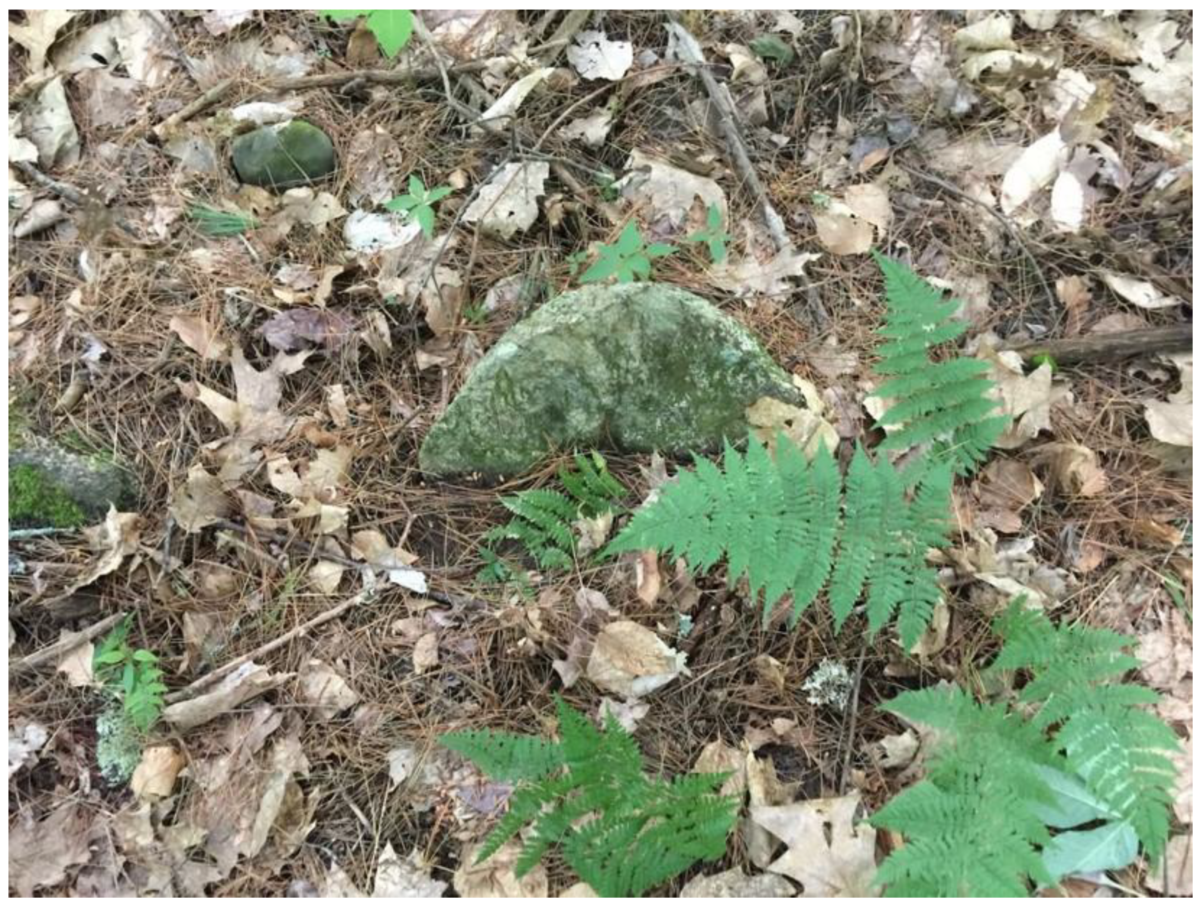 Sustainability 12 09429 g007