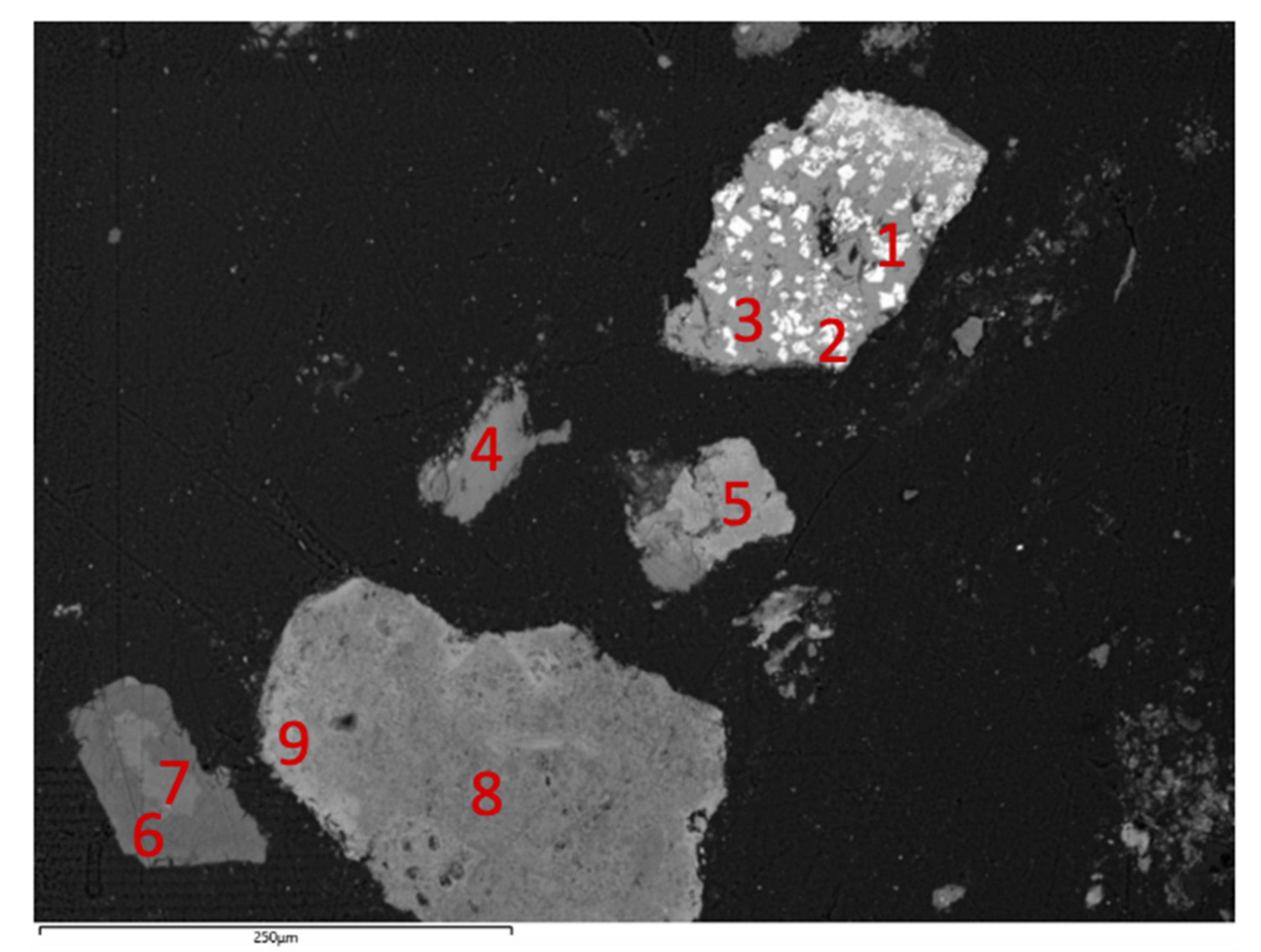 Sustainability 12 09461 g005
