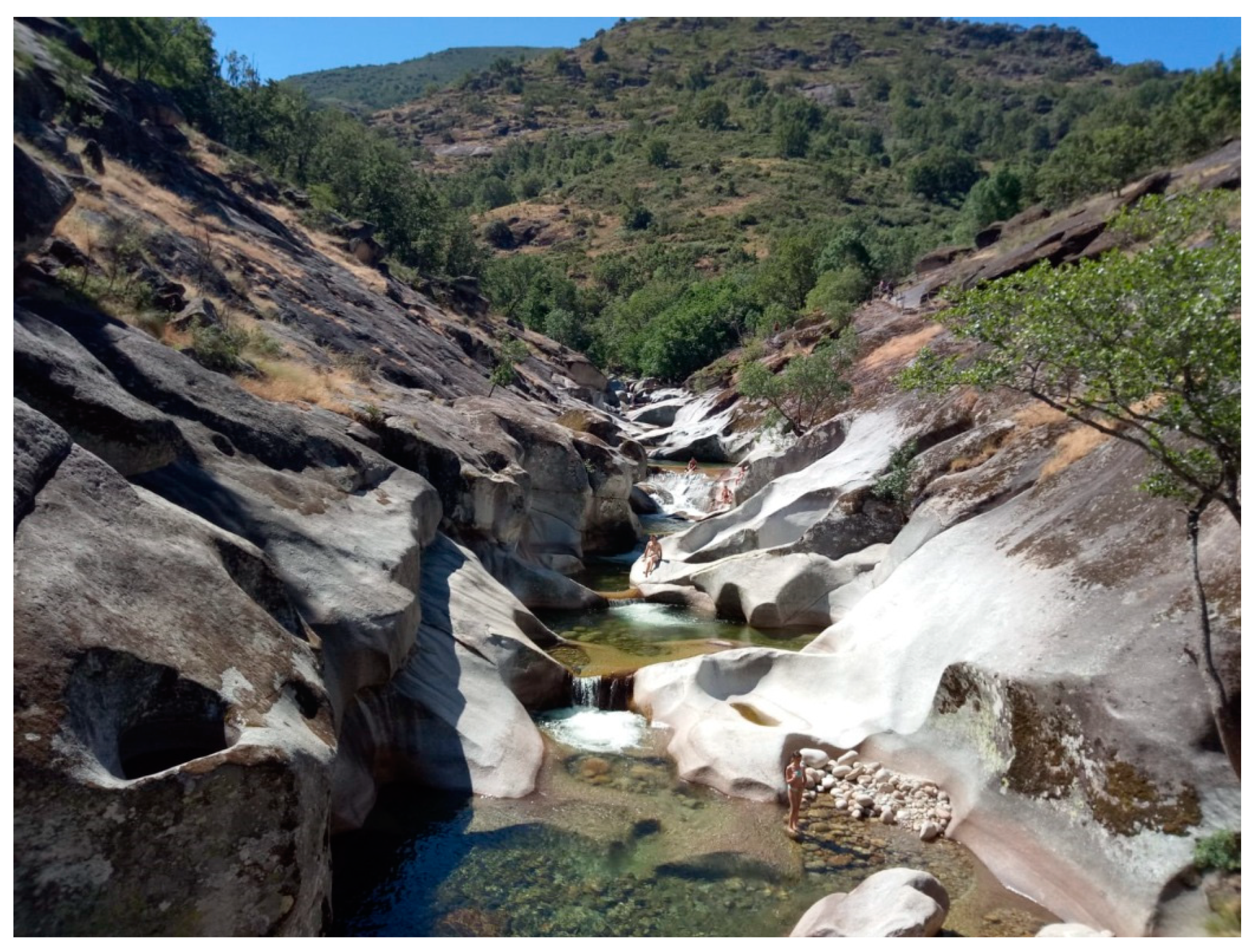 Sustainability 12 09503 g003 Sustainability 12 09503 g003