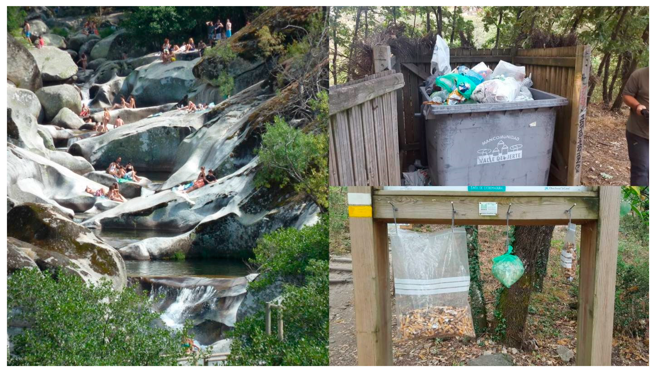 Sustainability 12 09503 g004 Sustainability 12 09503 g004