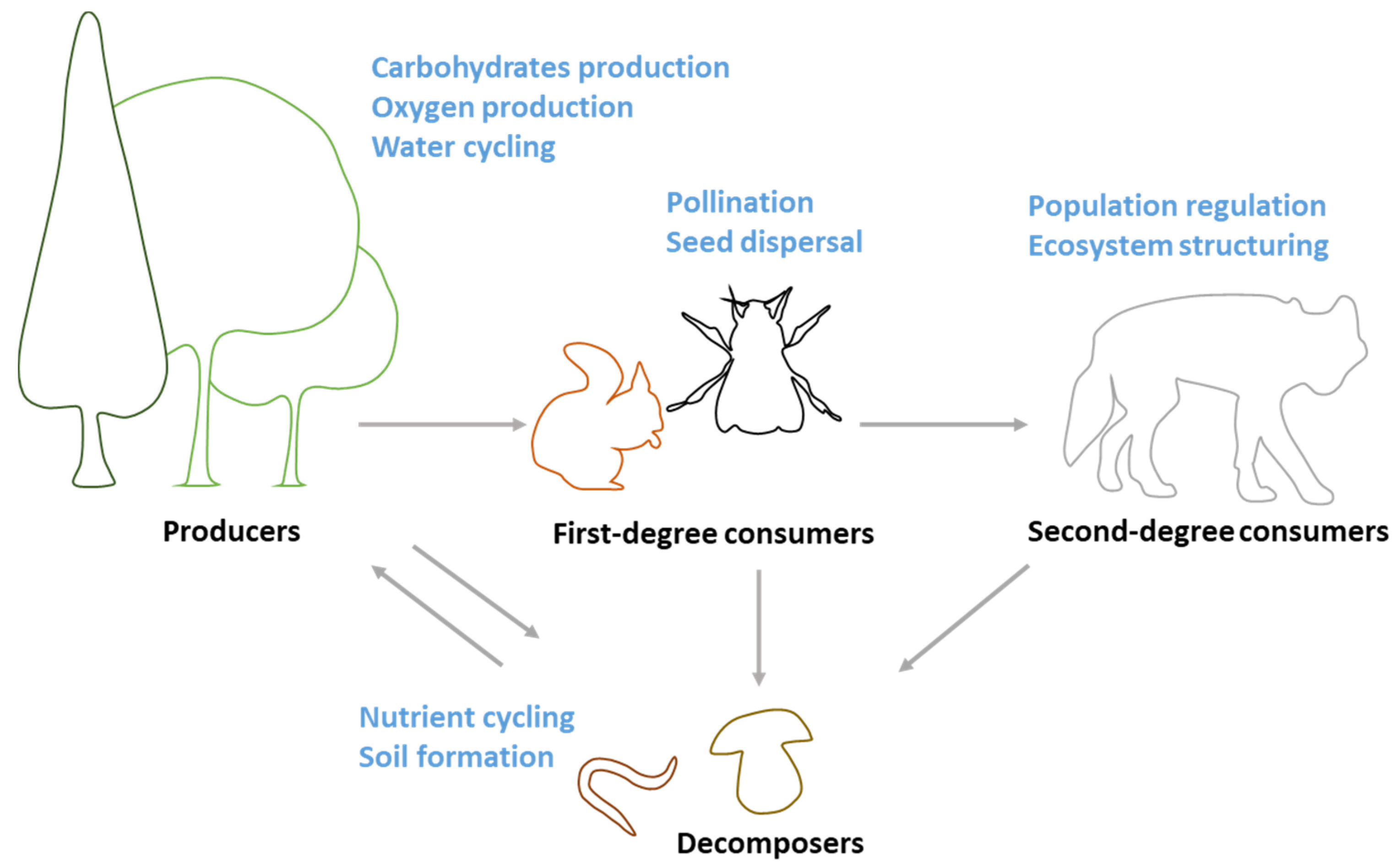 Sustainability 12 09565 g001