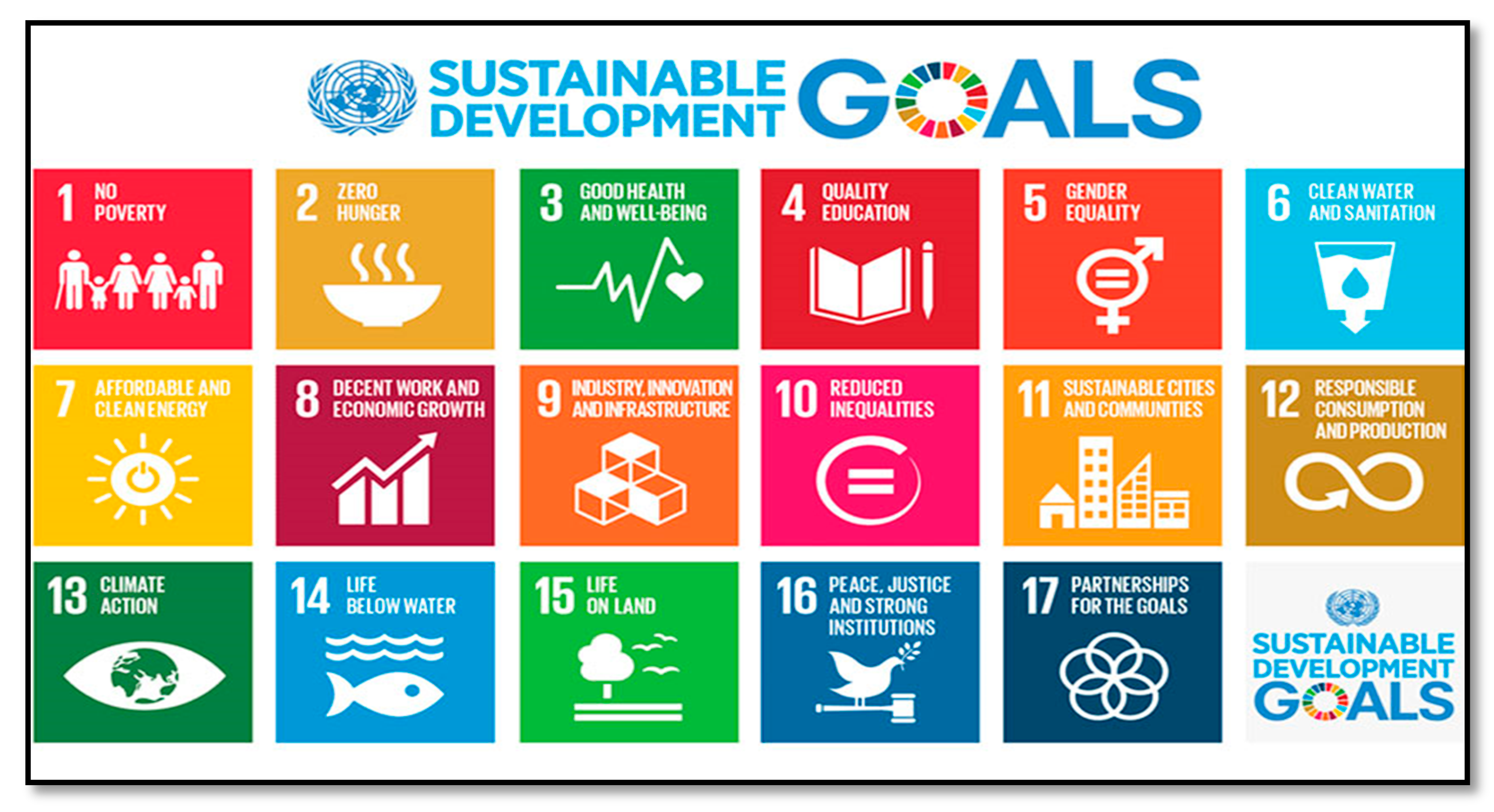 Sustainability 12 09624 g001