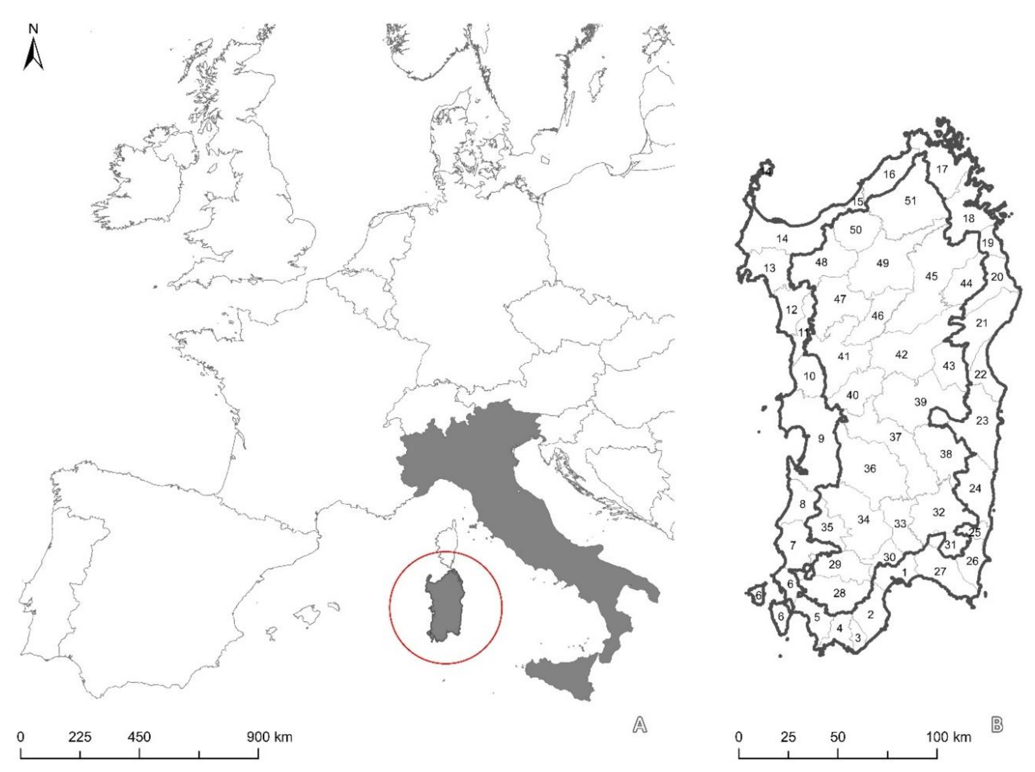 Sustainability 12 09632 g001