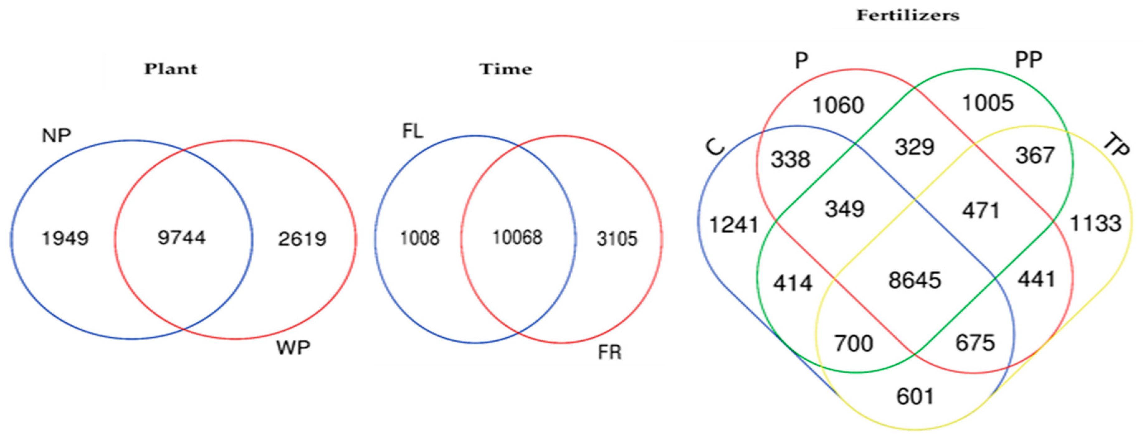 Sustainability 12 09706 g001