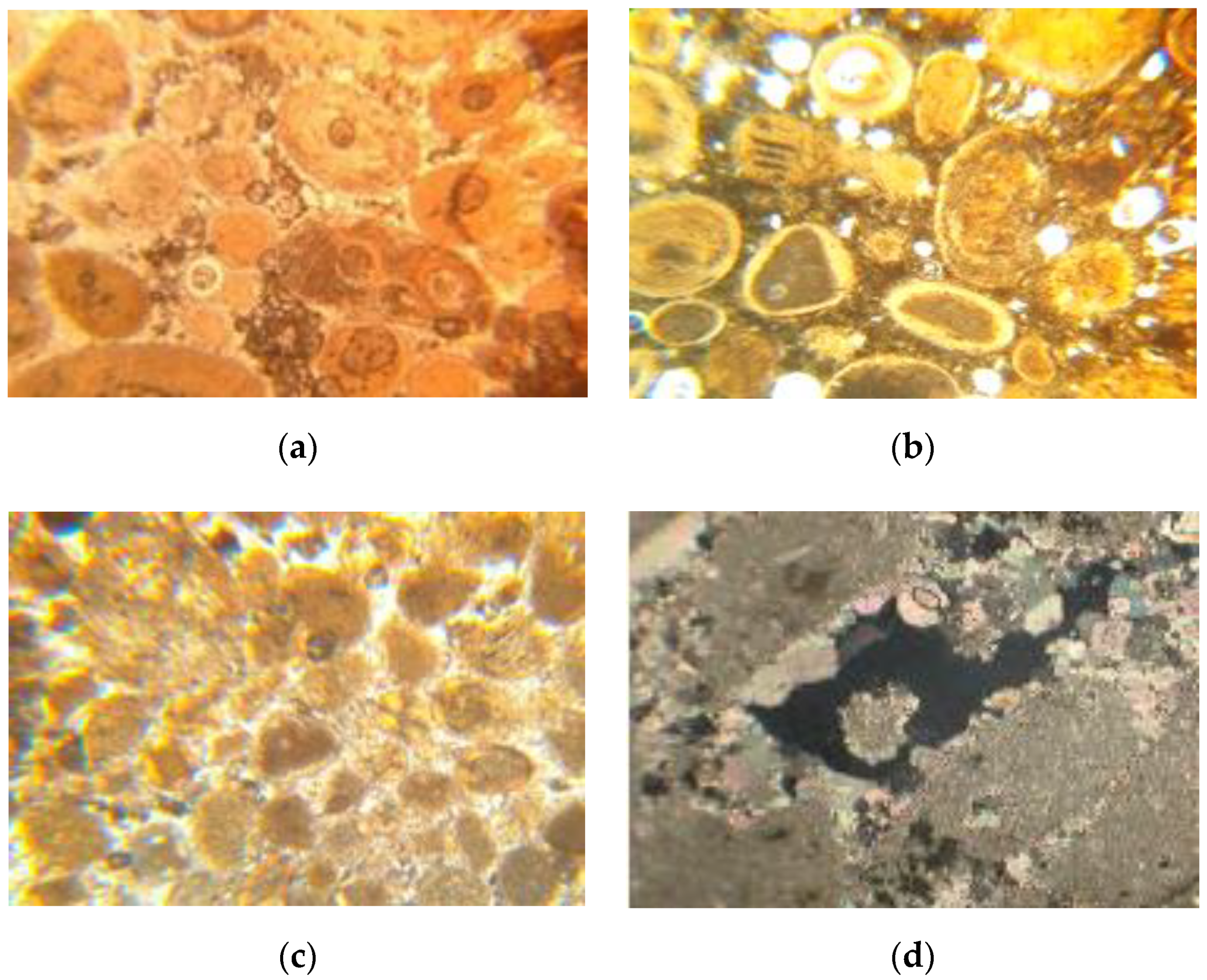 Sustainability 12 09710 g004