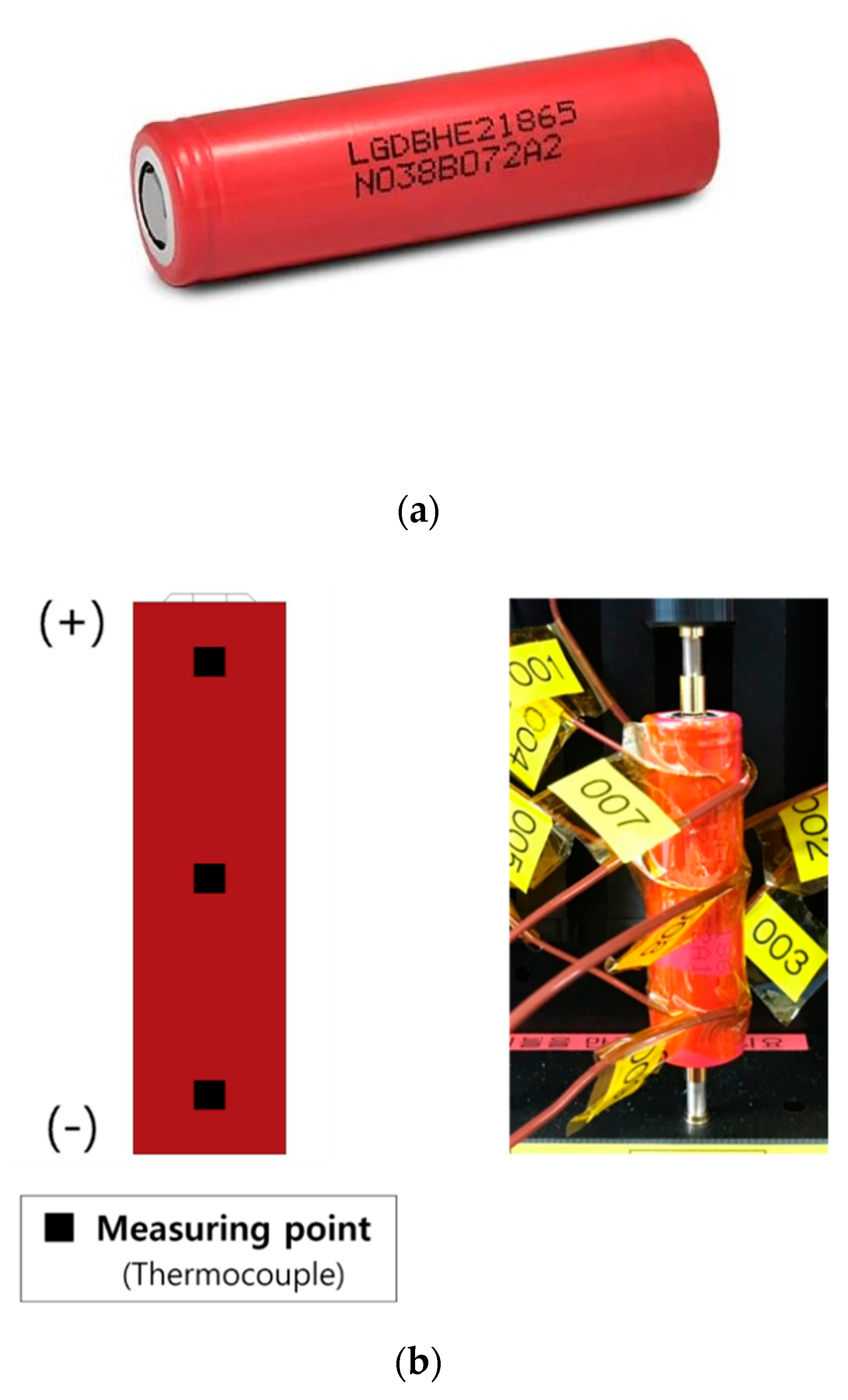 Sustainability 12 09764 g005