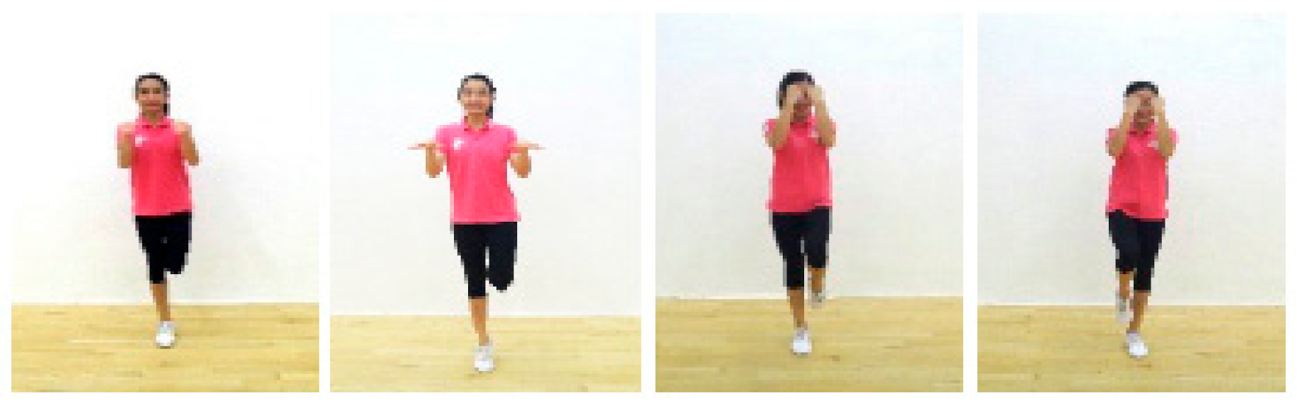 Sustainability 12 09774 g0a1