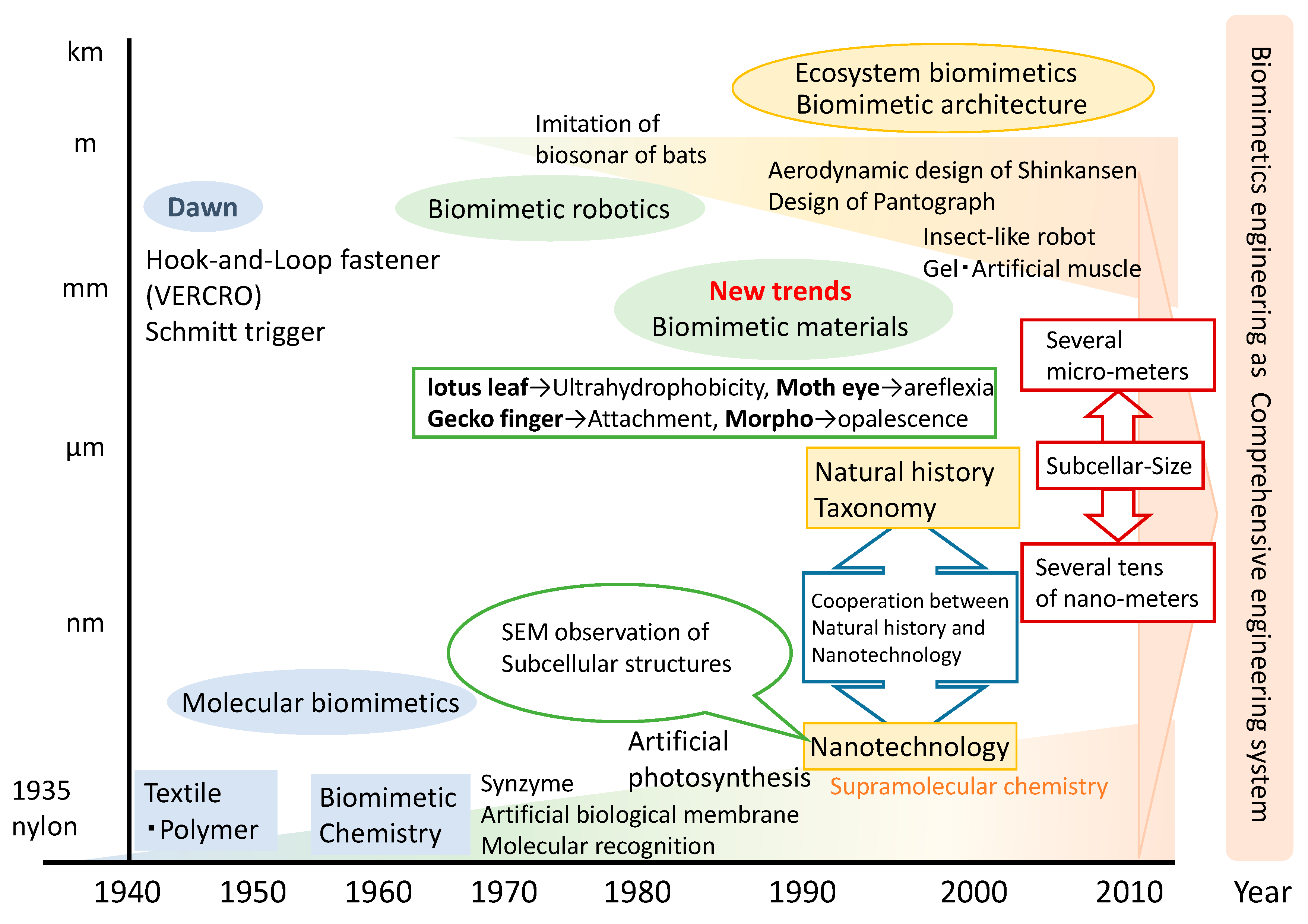 Sustainability 12 09813 g001 Sustainability 12 09813 g001