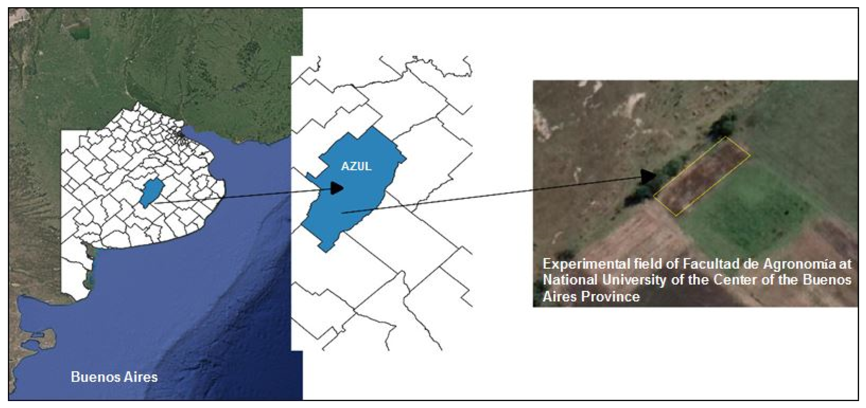 Sustainability 12 09829 g001