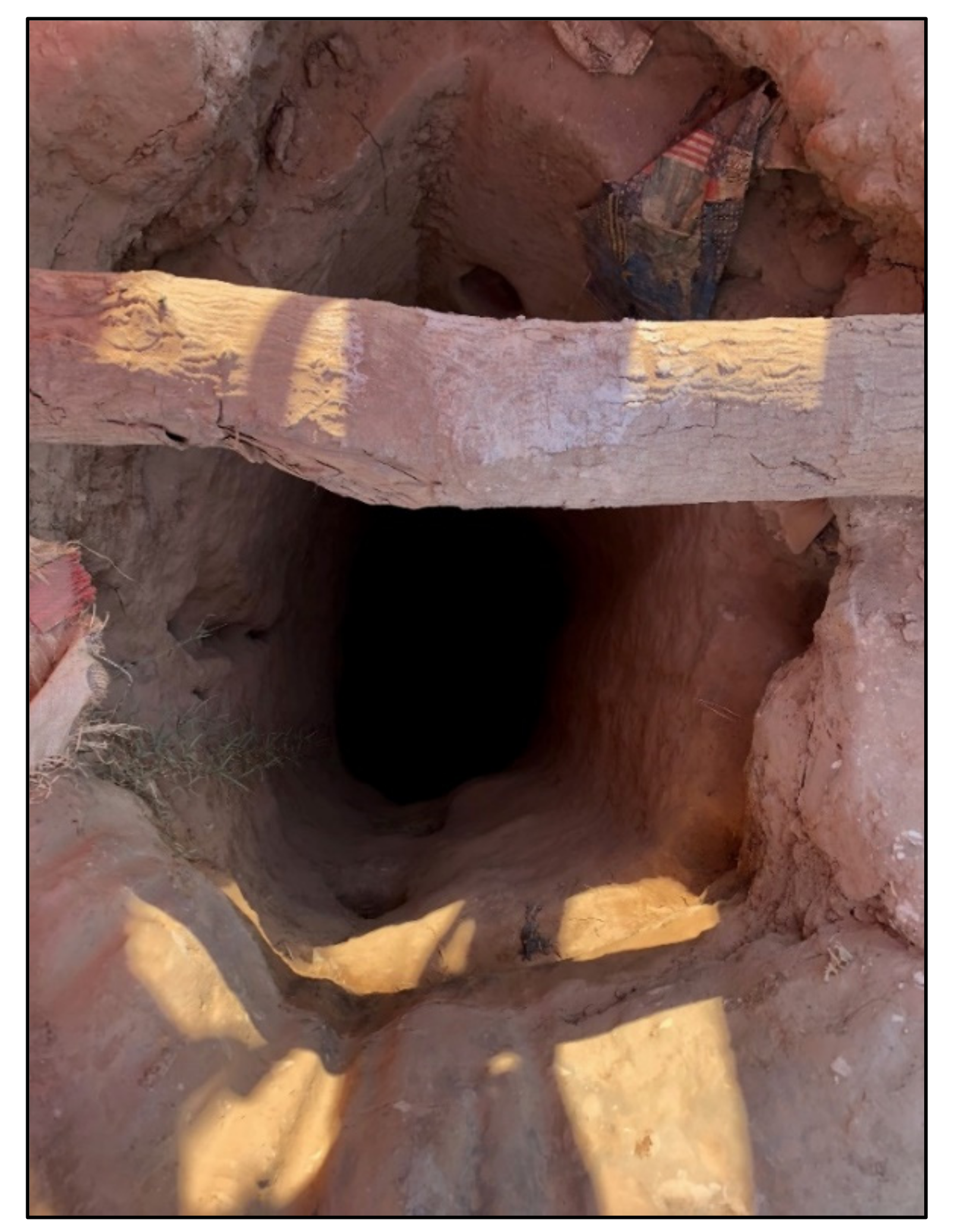 Sustainability 12 09834 g003