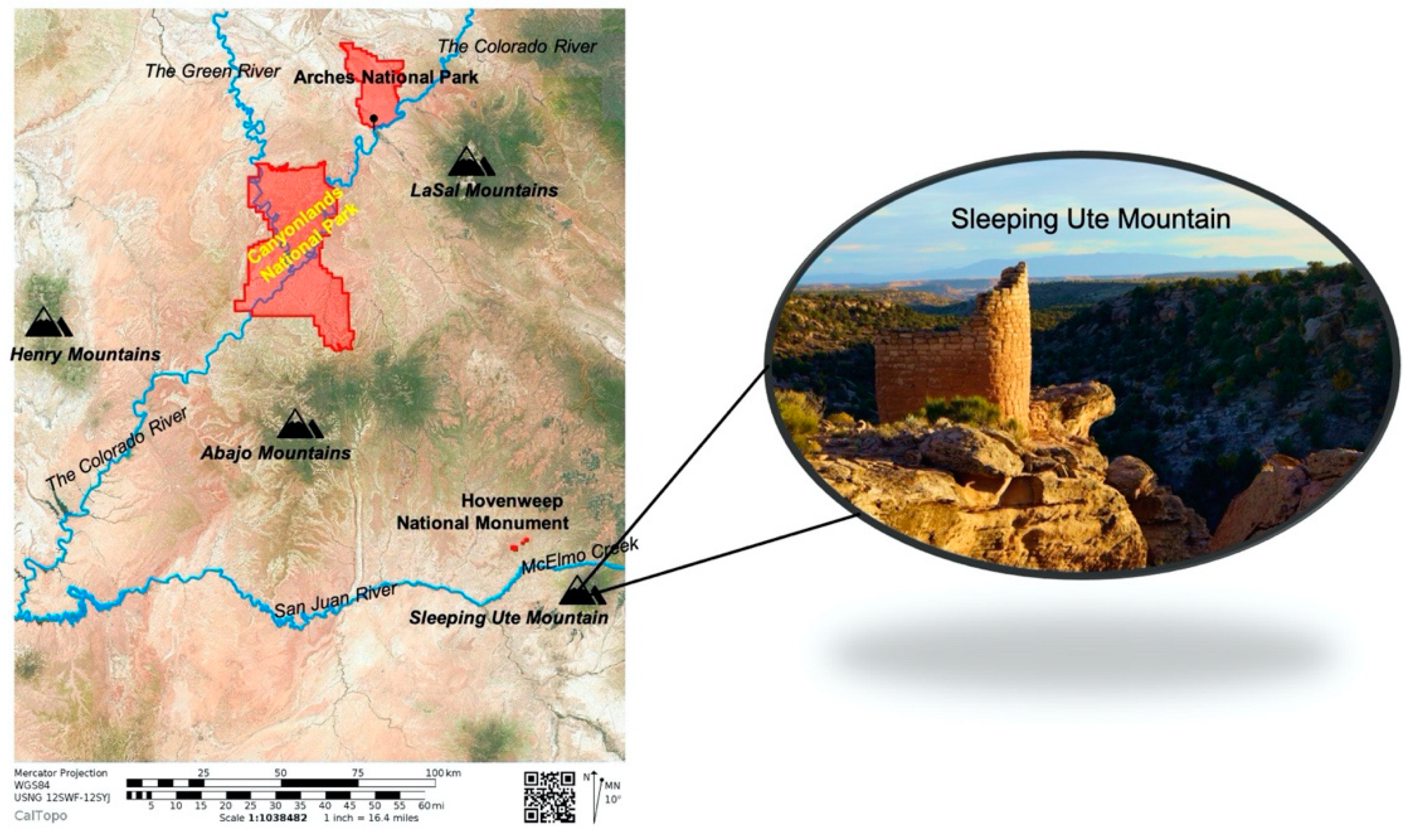 Sustainability 12 09846 g001 Sustainability 12 09846 g001