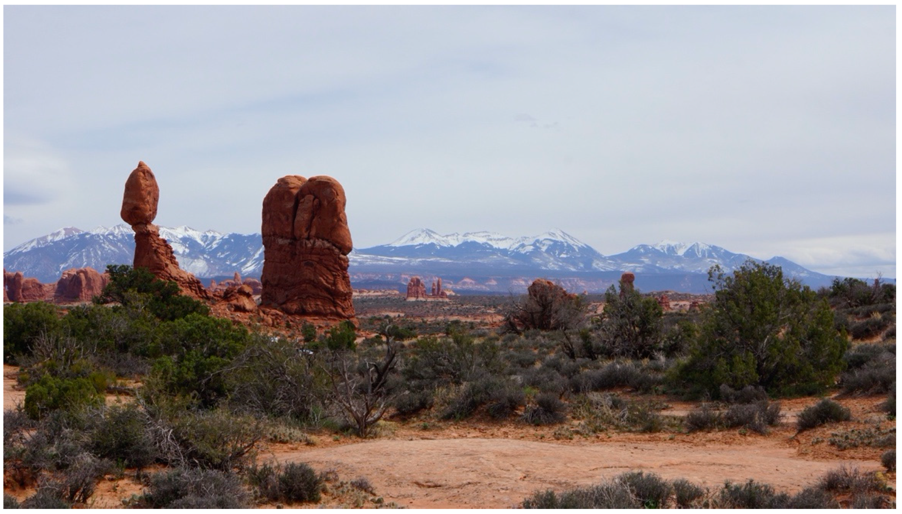 Sustainability 12 09846 g002 Sustainability 12 09846 g002