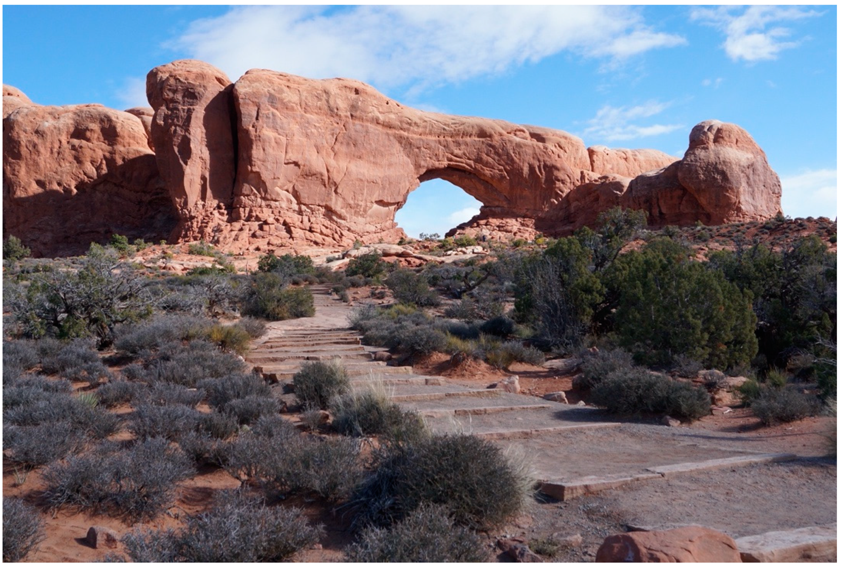 Sustainability 12 09846 g003 Sustainability 12 09846 g003