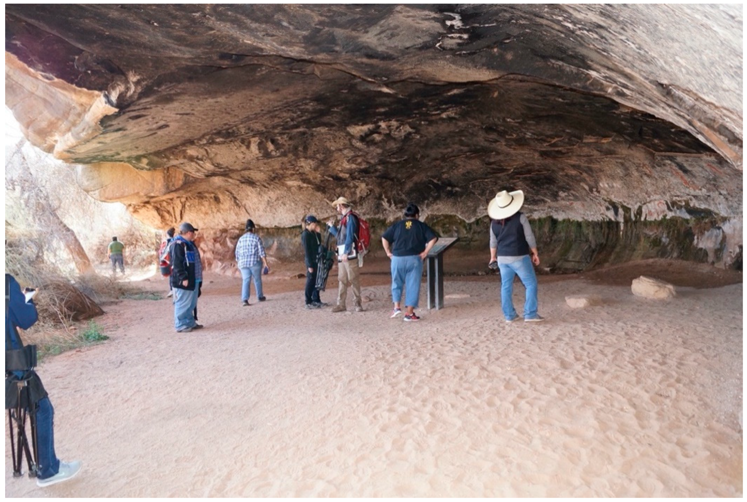 Sustainability 12 09846 g004 Sustainability 12 09846 g004