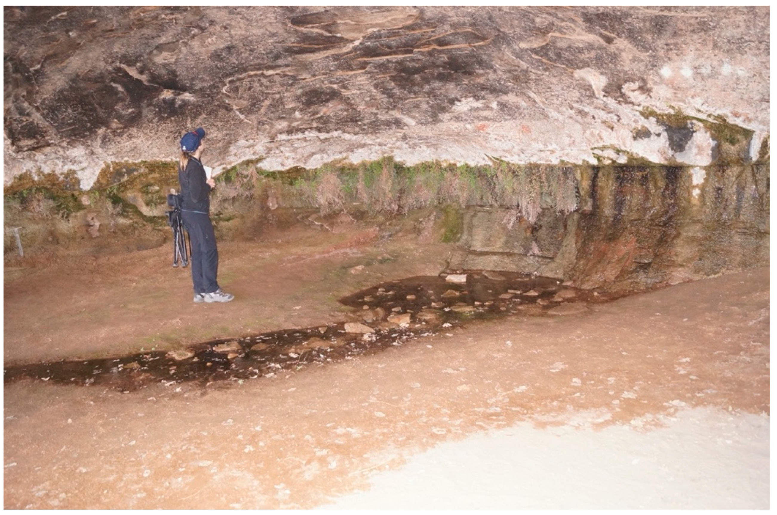 Sustainability 12 09846 g005 Sustainability 12 09846 g005