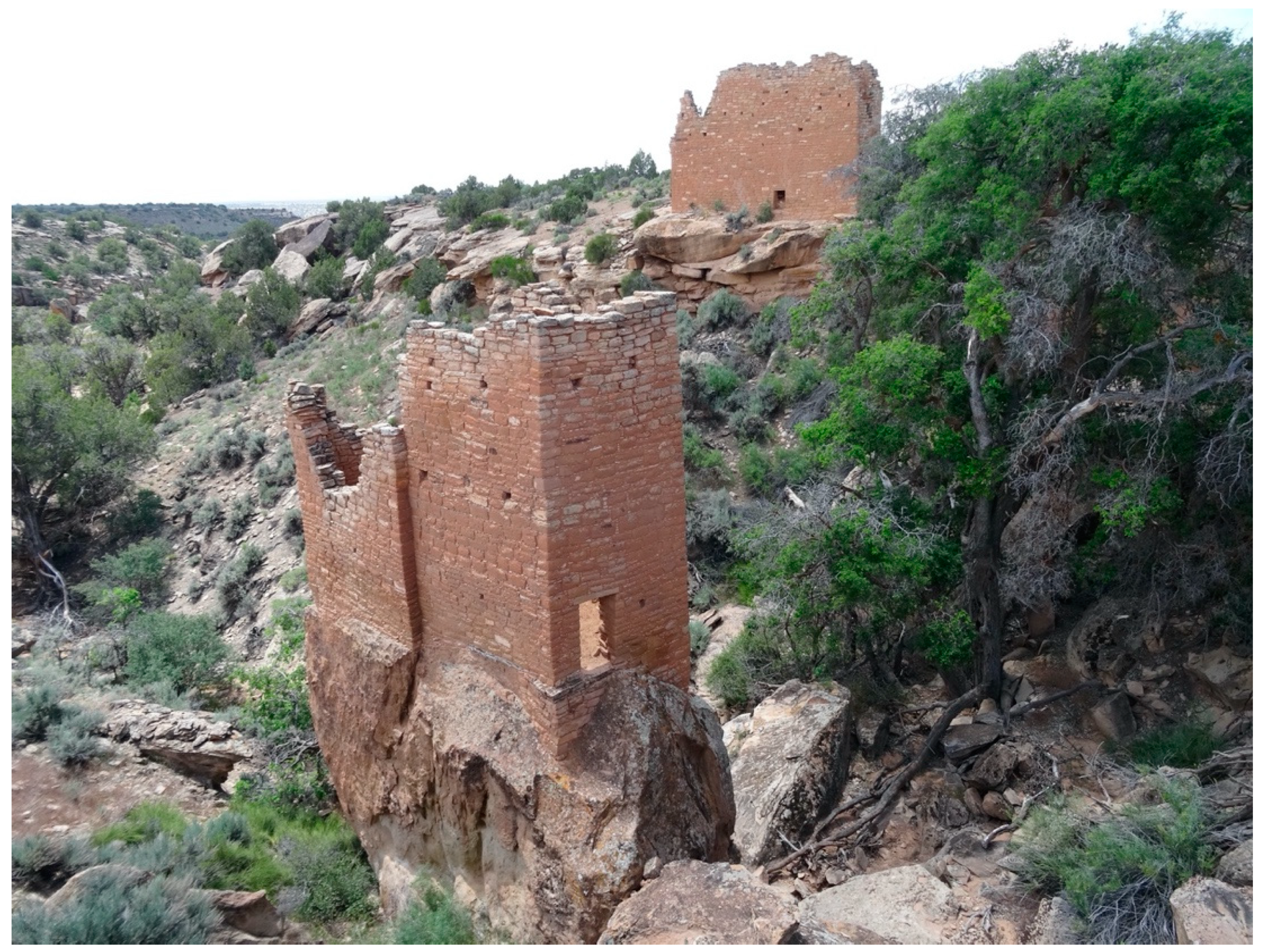 Sustainability 12 09846 g011 Sustainability 12 09846 g011