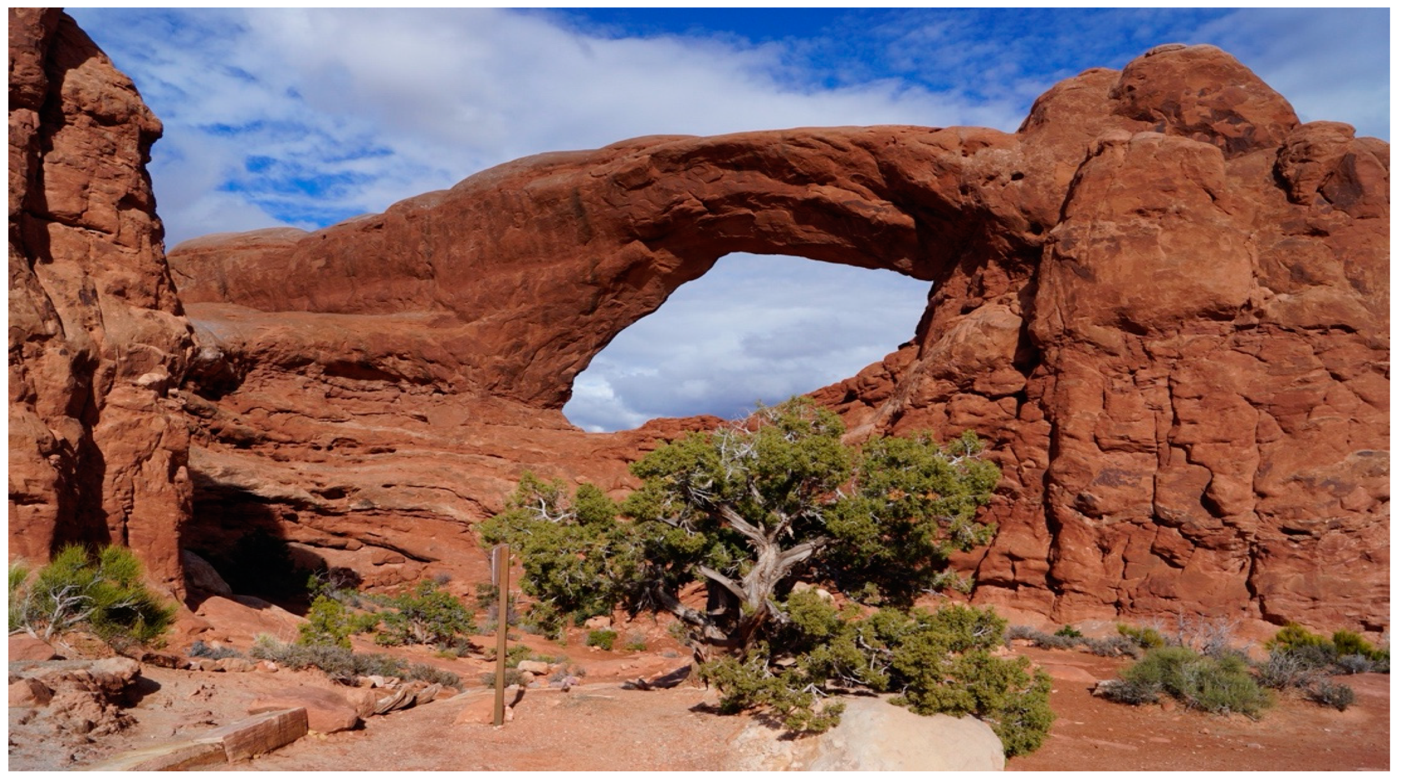 Sustainability 12 09846 g013 Sustainability 12 09846 g013