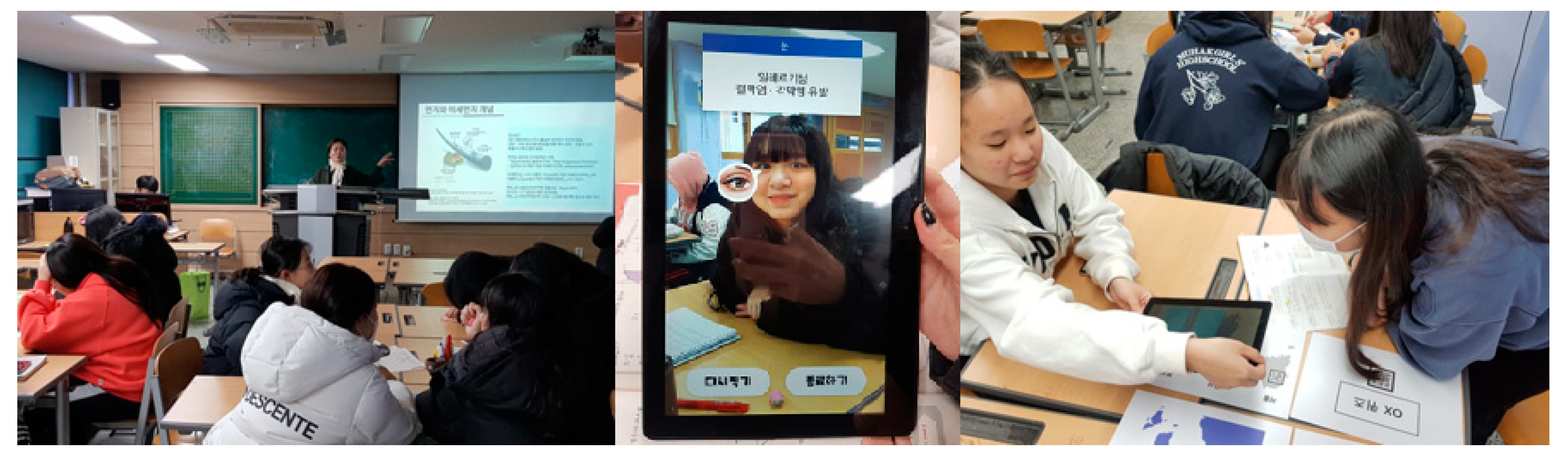 Sustainability 12 09874 g002