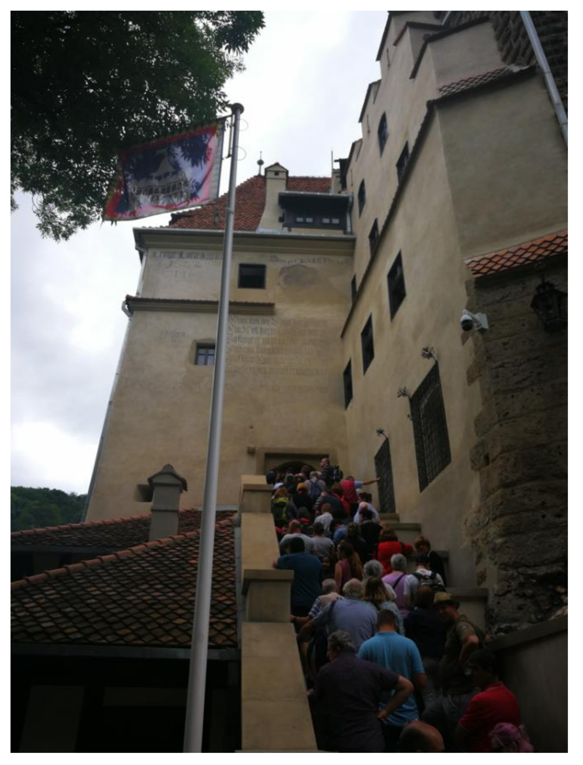 Sustainability 12 09910 g001