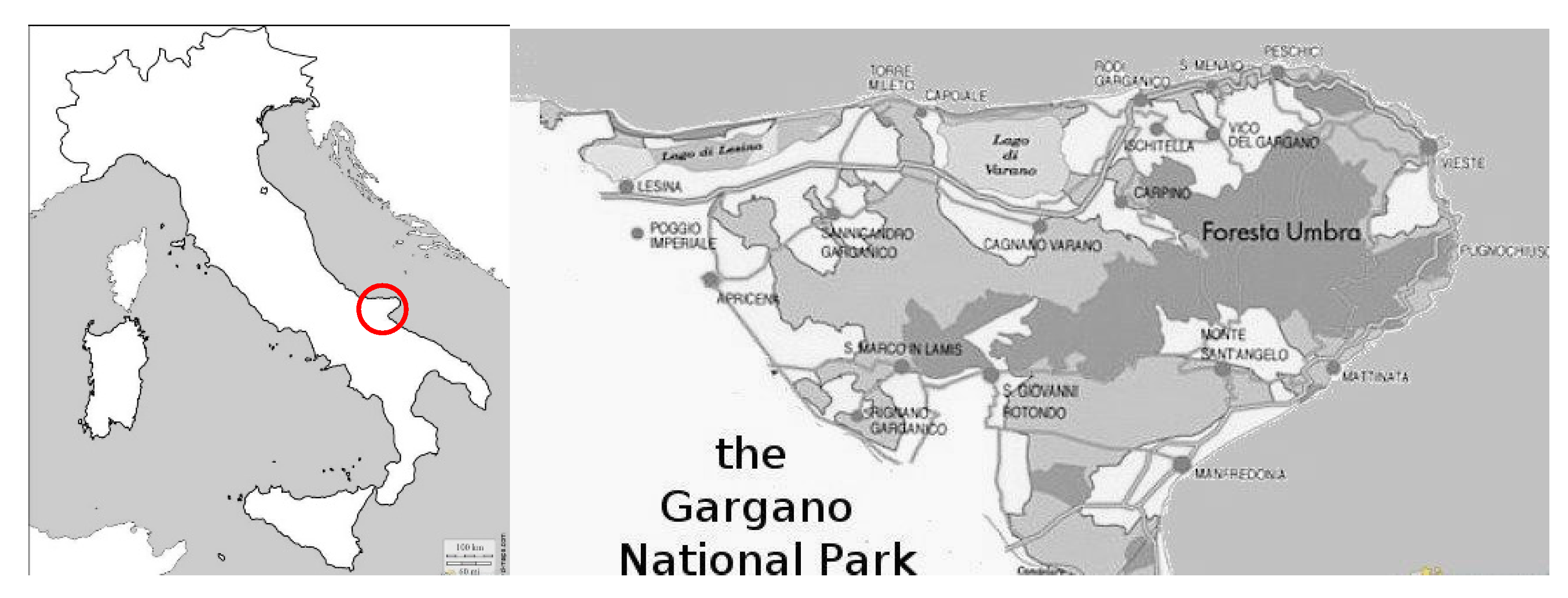 Sustainability 12 09915 g001