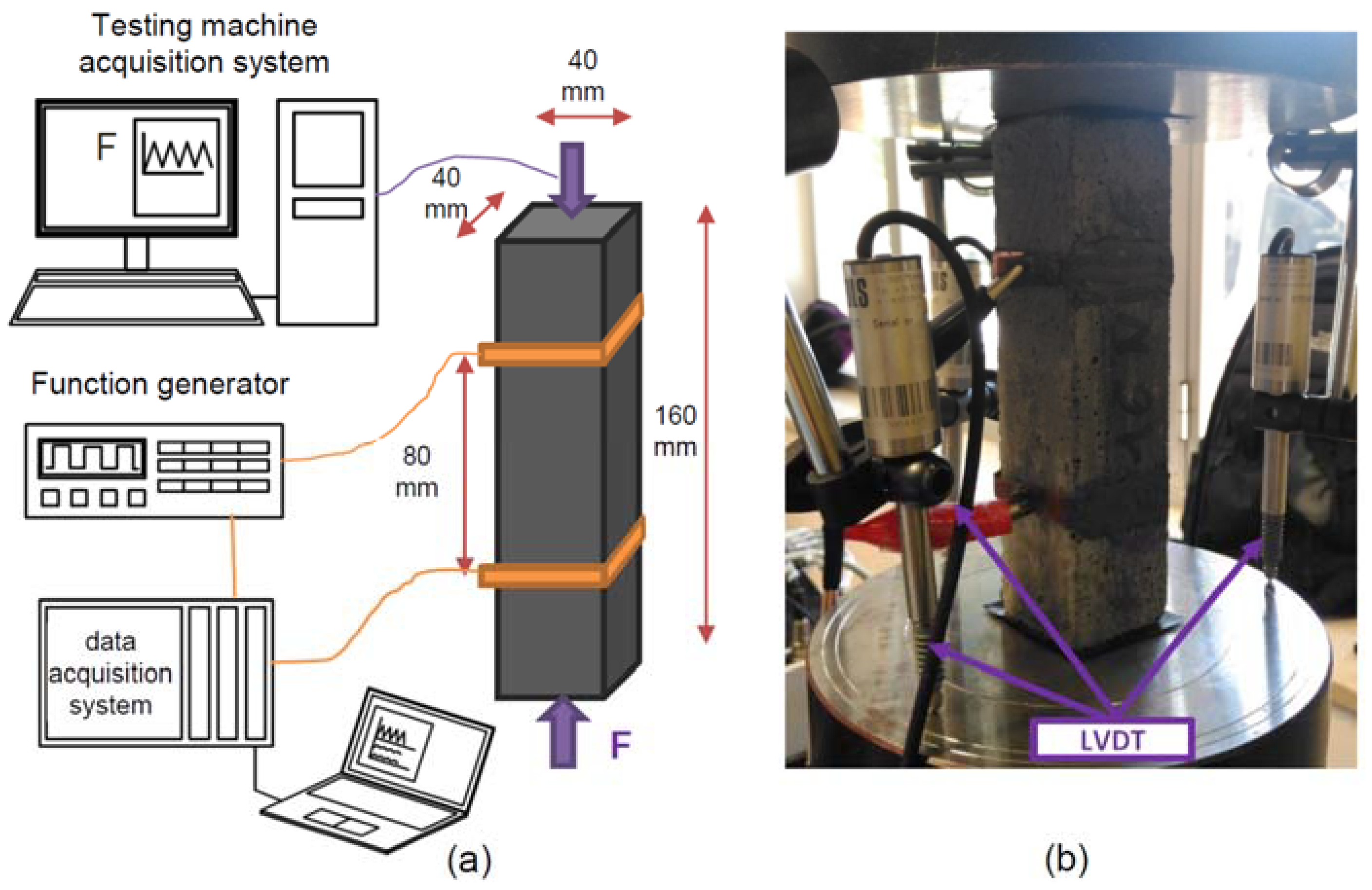 Sustainability 12 09916 g003