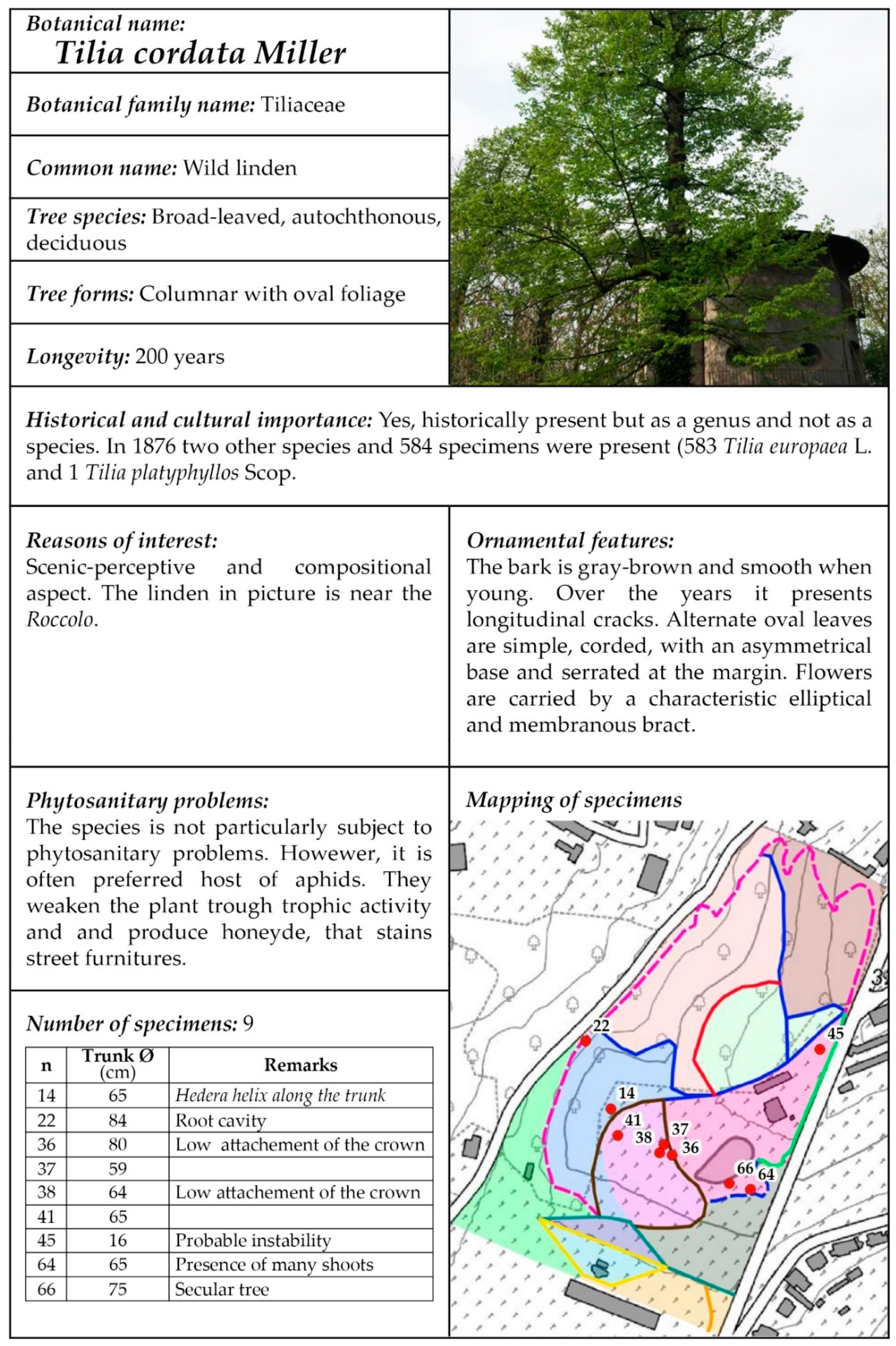 Sustainability 12 10067 g003