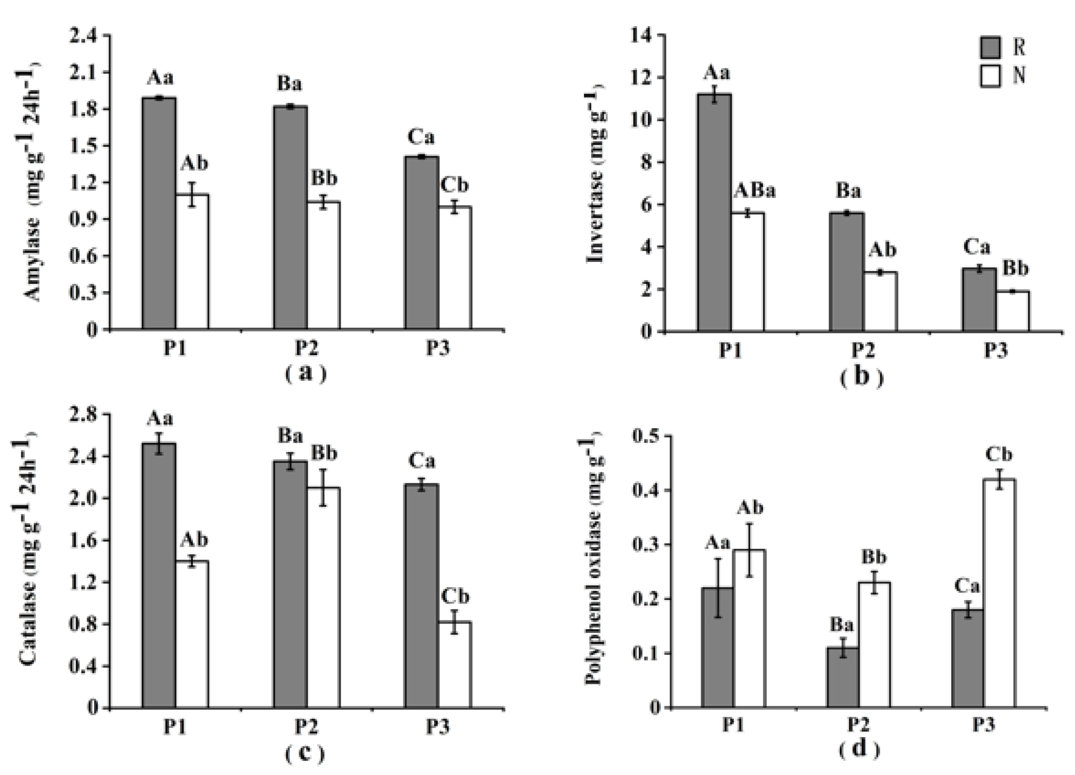 Sustainability 12 10095 g002