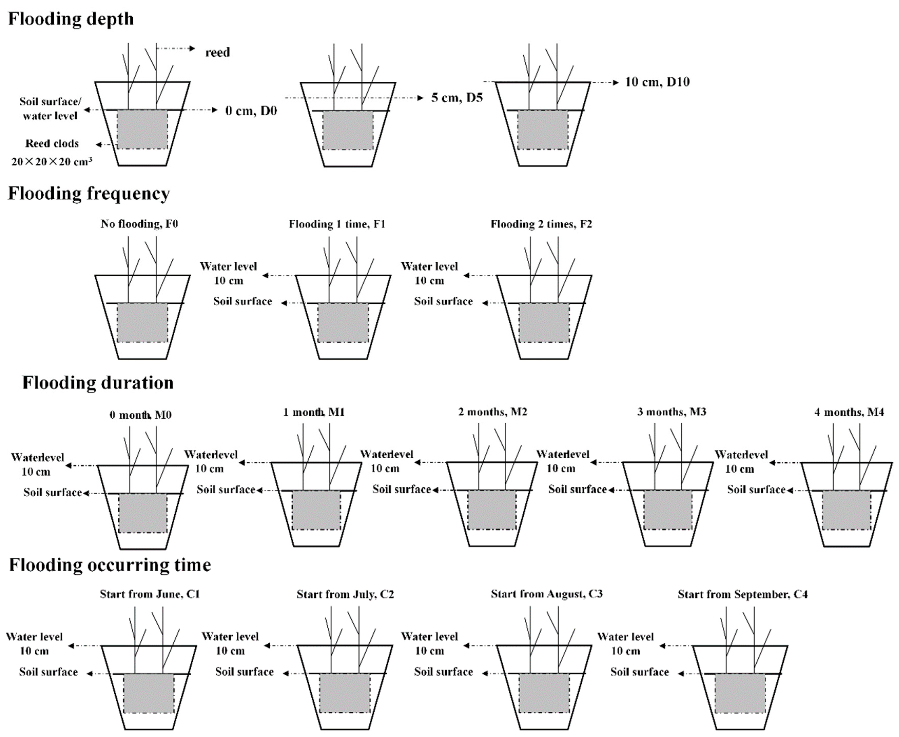 Sustainability 12 10103 g002