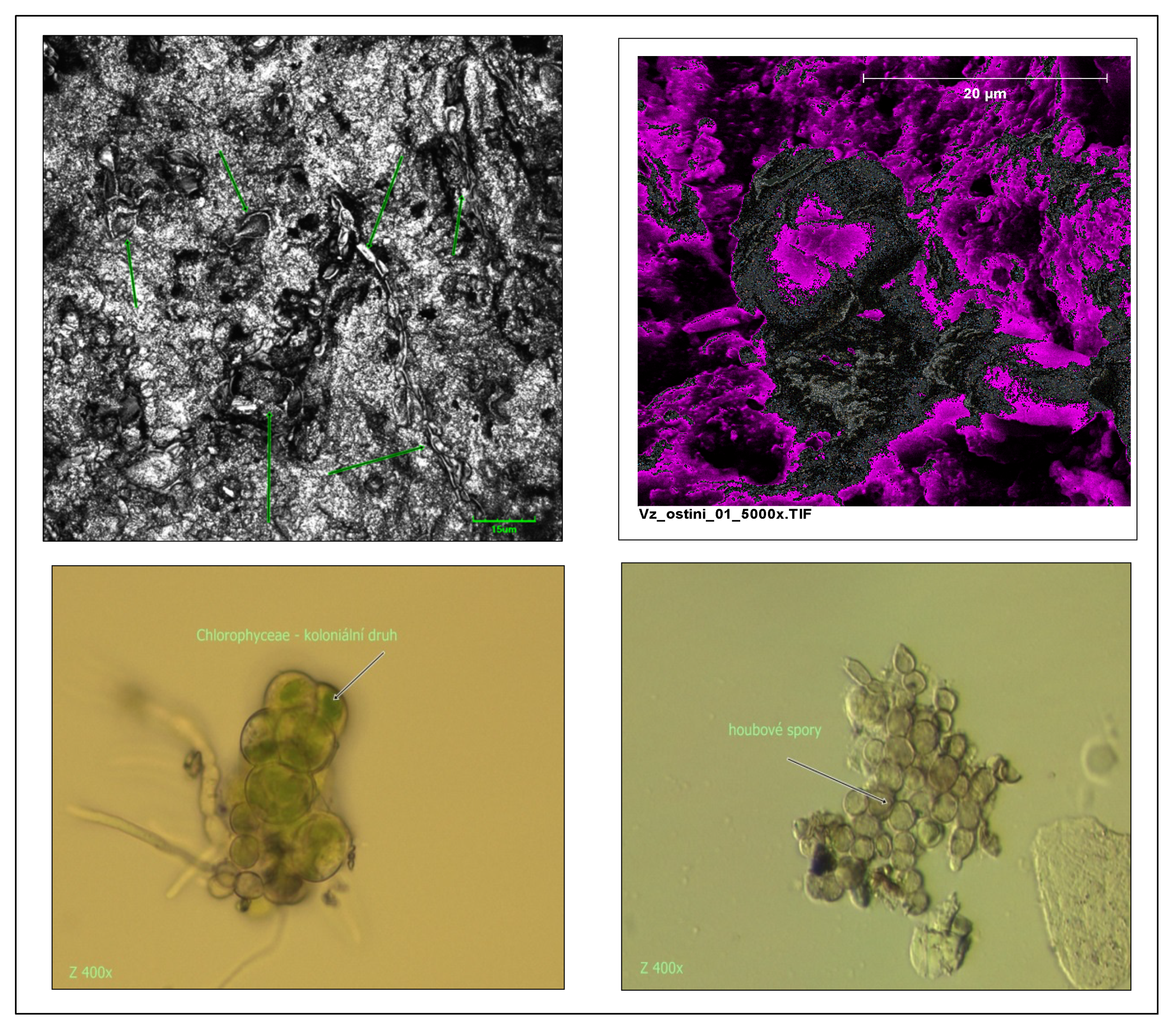 Sustainability 12 10119 g003 Sustainability 12 10119 g003