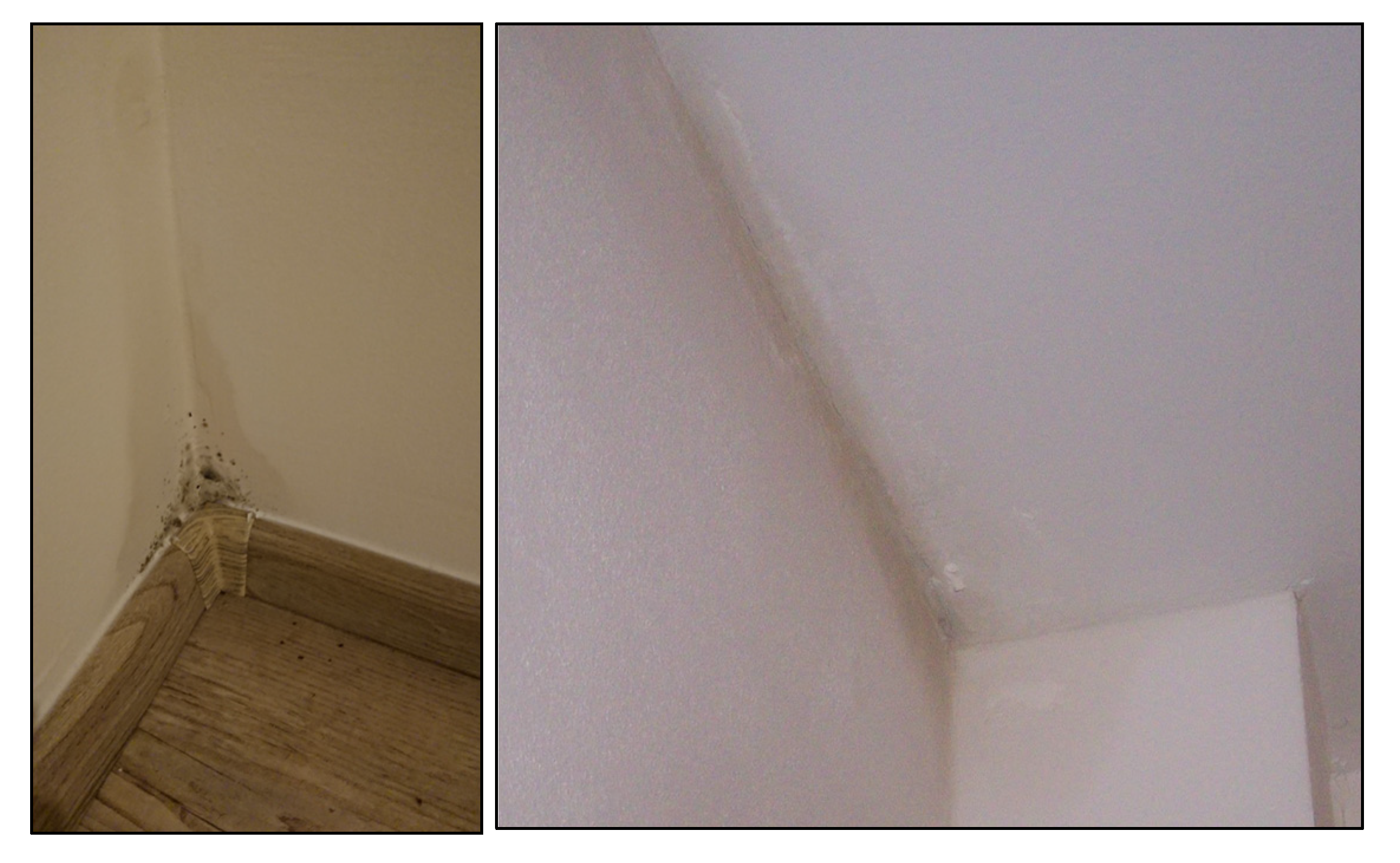 Sustainability 12 10119 g005 Sustainability 12 10119 g005