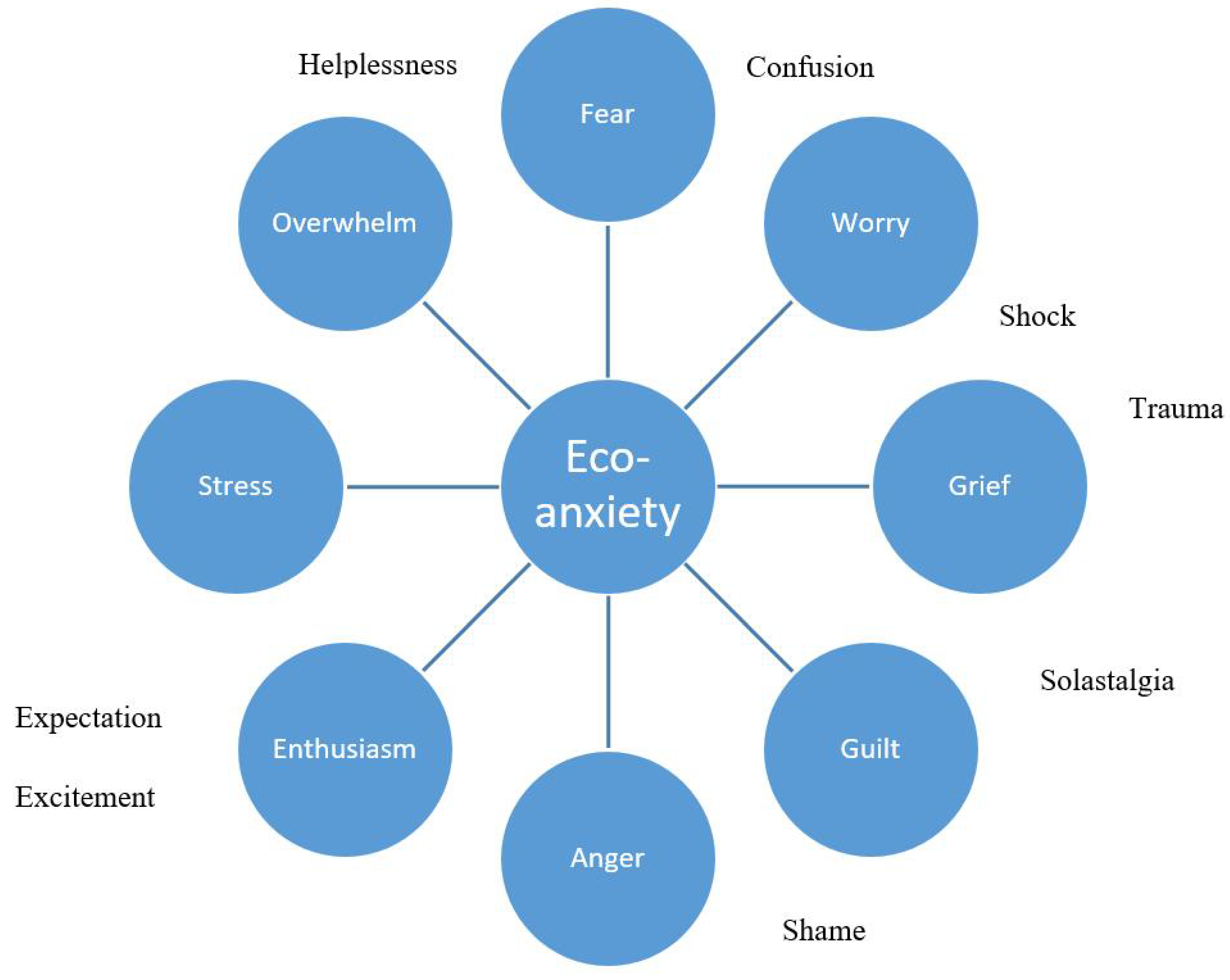 Sustainability 12 10149 g002