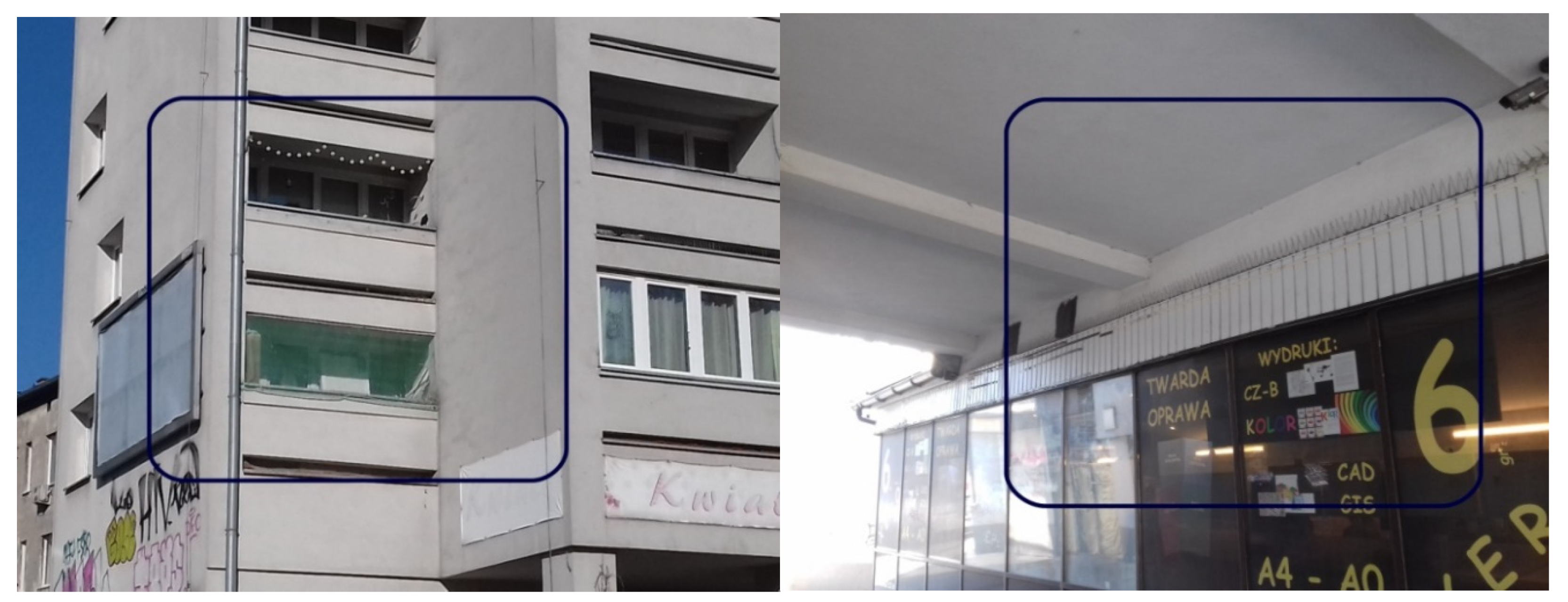 Sustainability 12 10231 g002