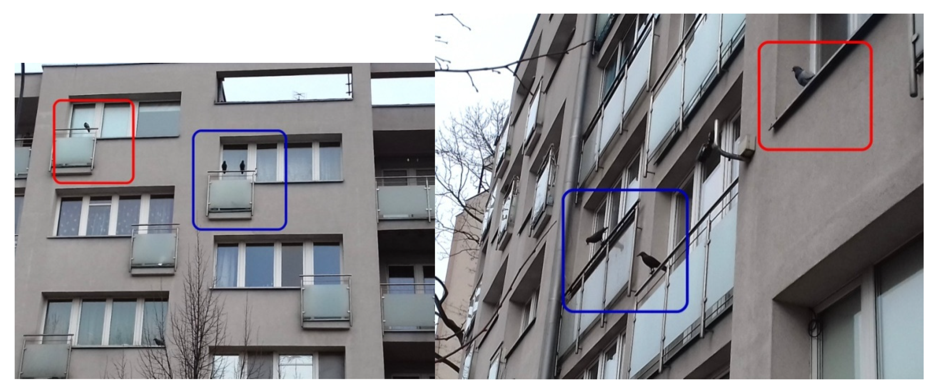 Sustainability 12 10231 g003