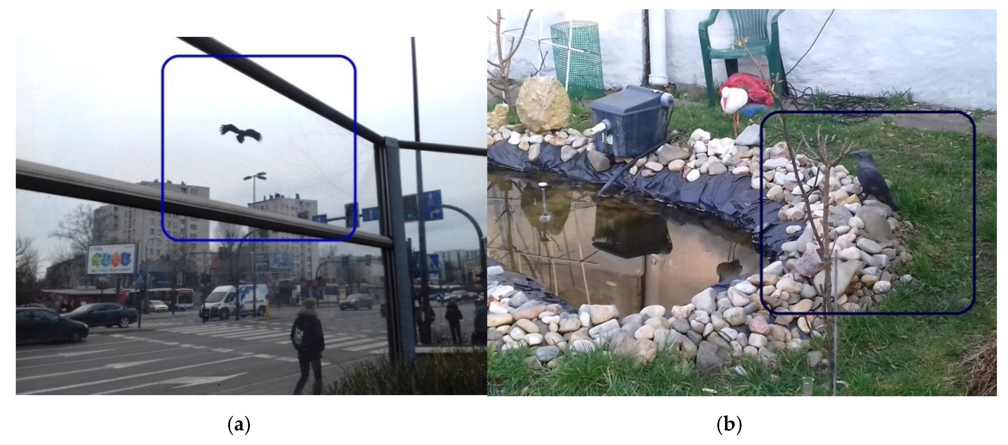 Sustainability 12 10231 g004