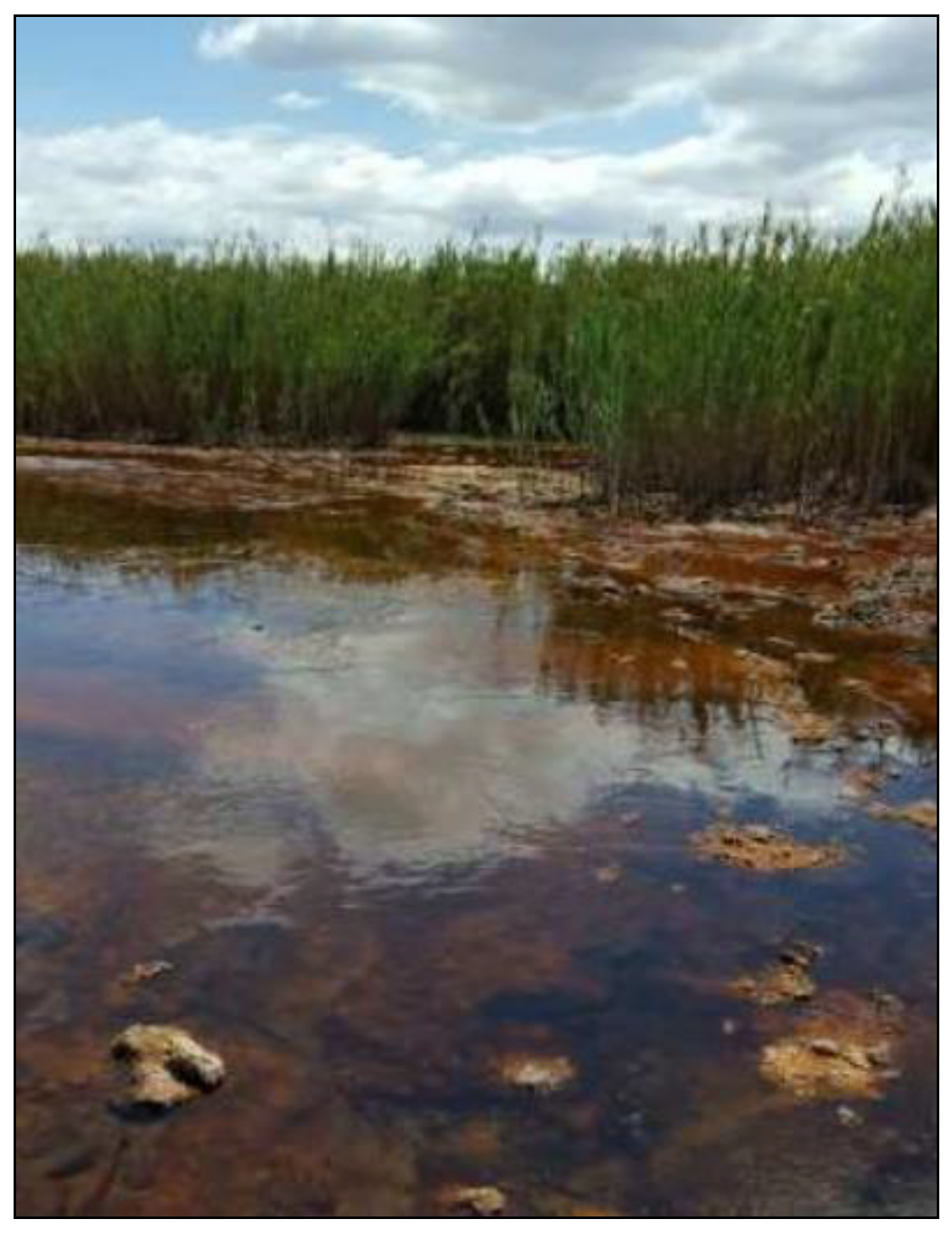 Sustainability 12 10244 g001 Sustainability 12 10244 g001