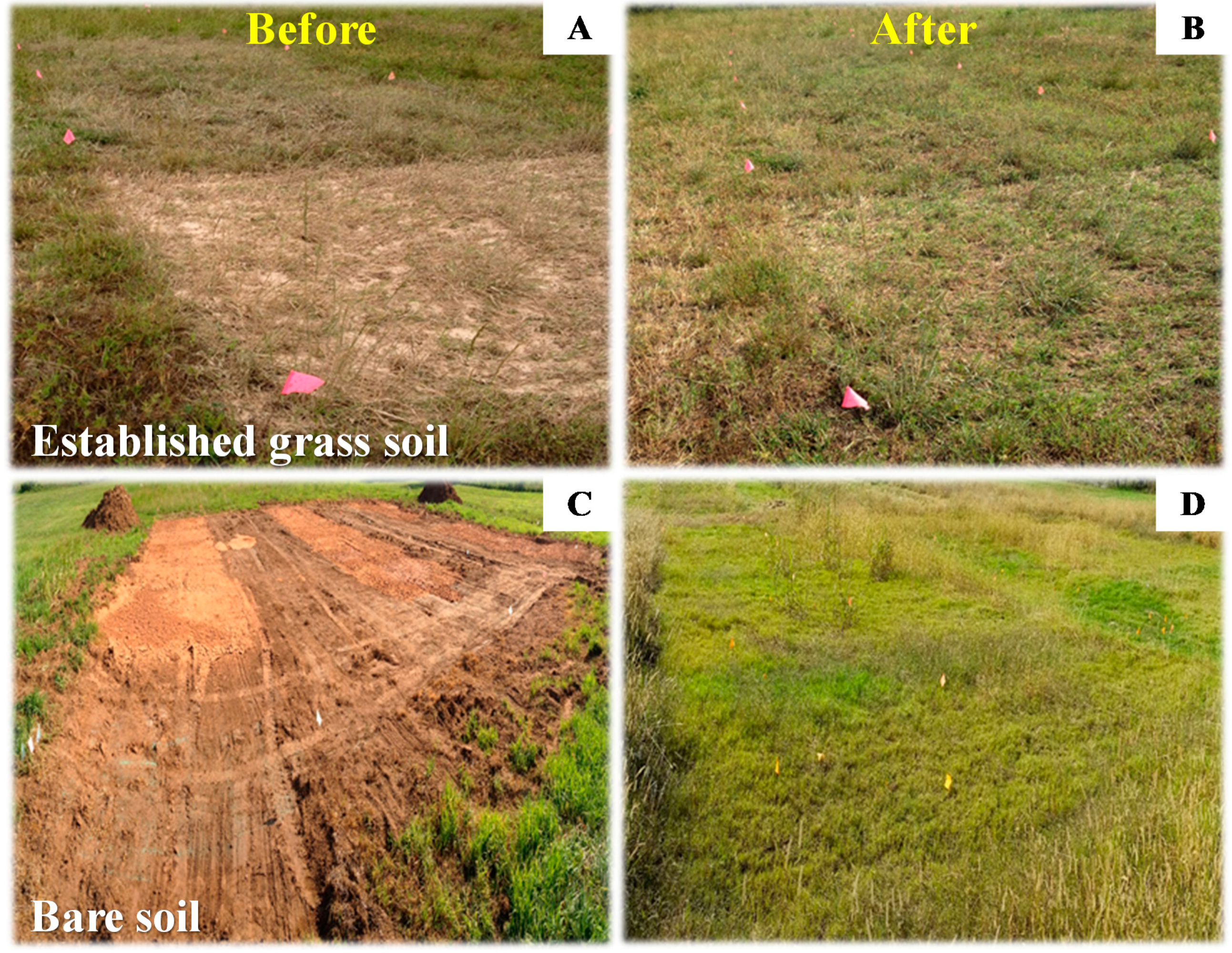 Sustainability 12 10264 g001