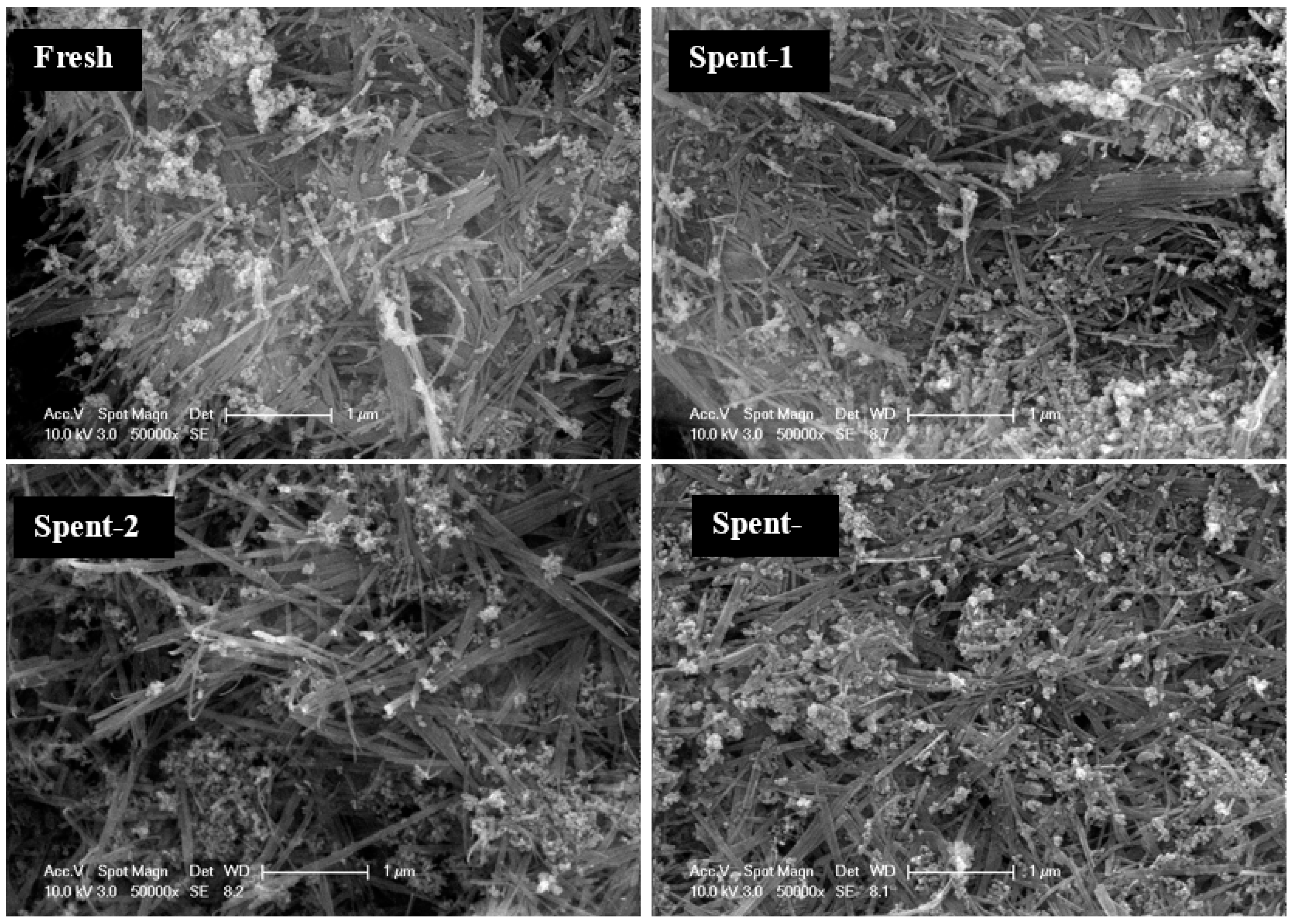 Sustainability 12 10314 g010