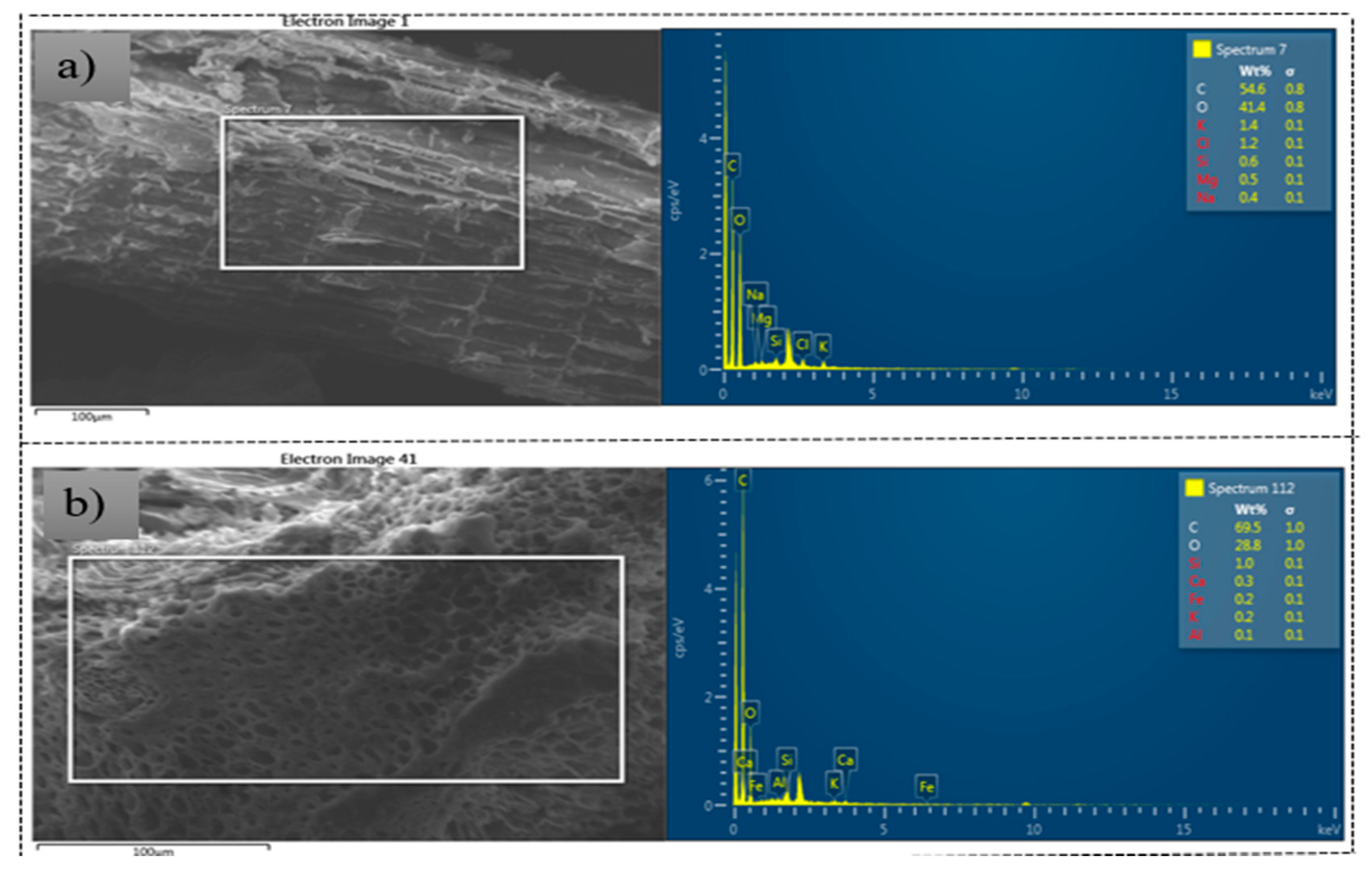 Sustainability 12 10318 g001