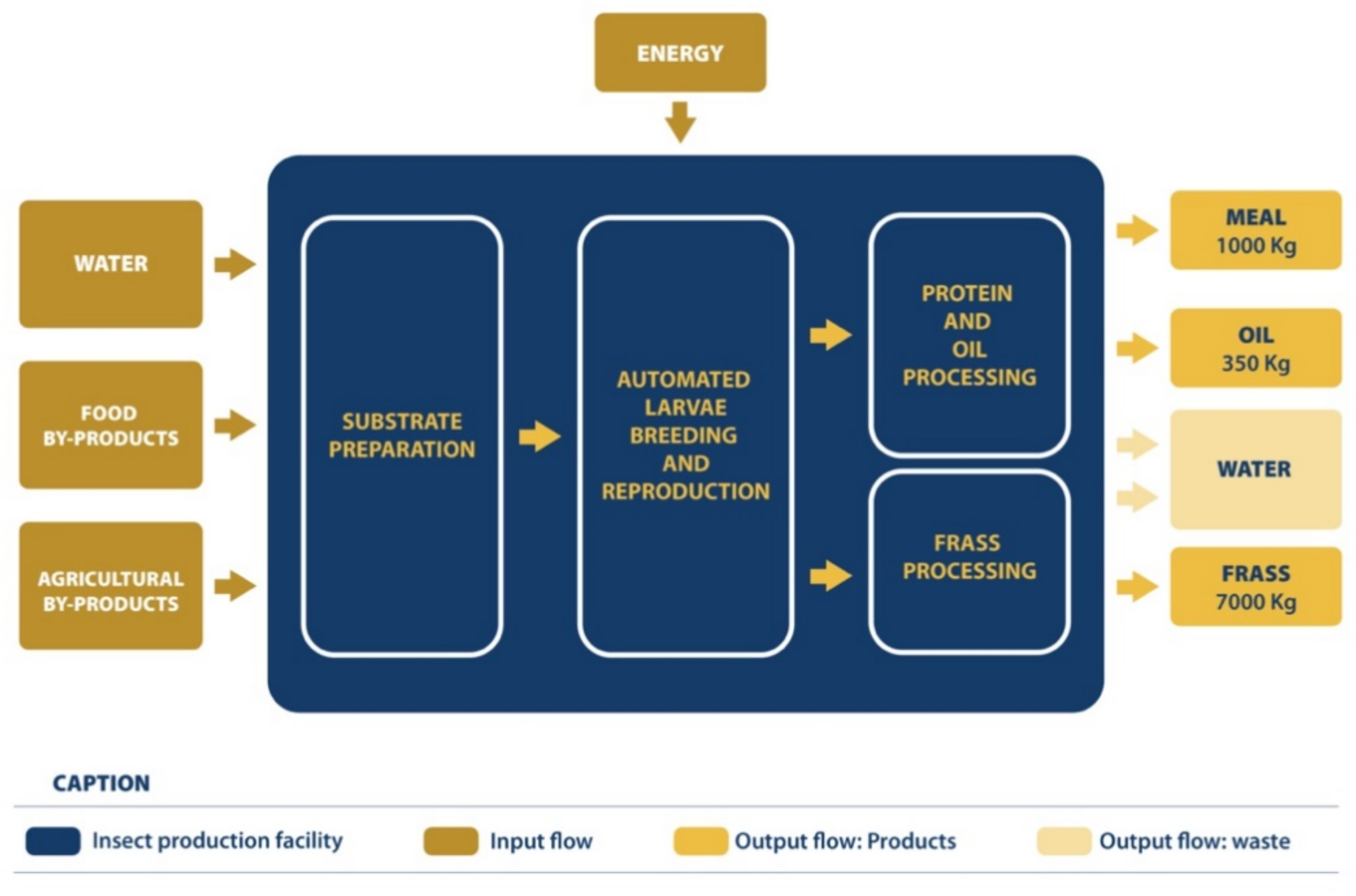 Sustainability 12 10333 g002