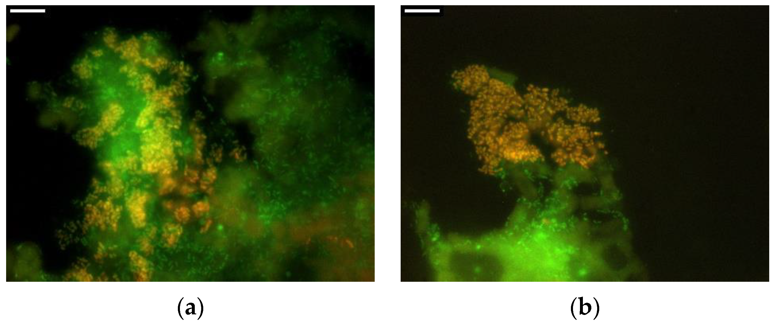 Sustainability 12 10386 g002a