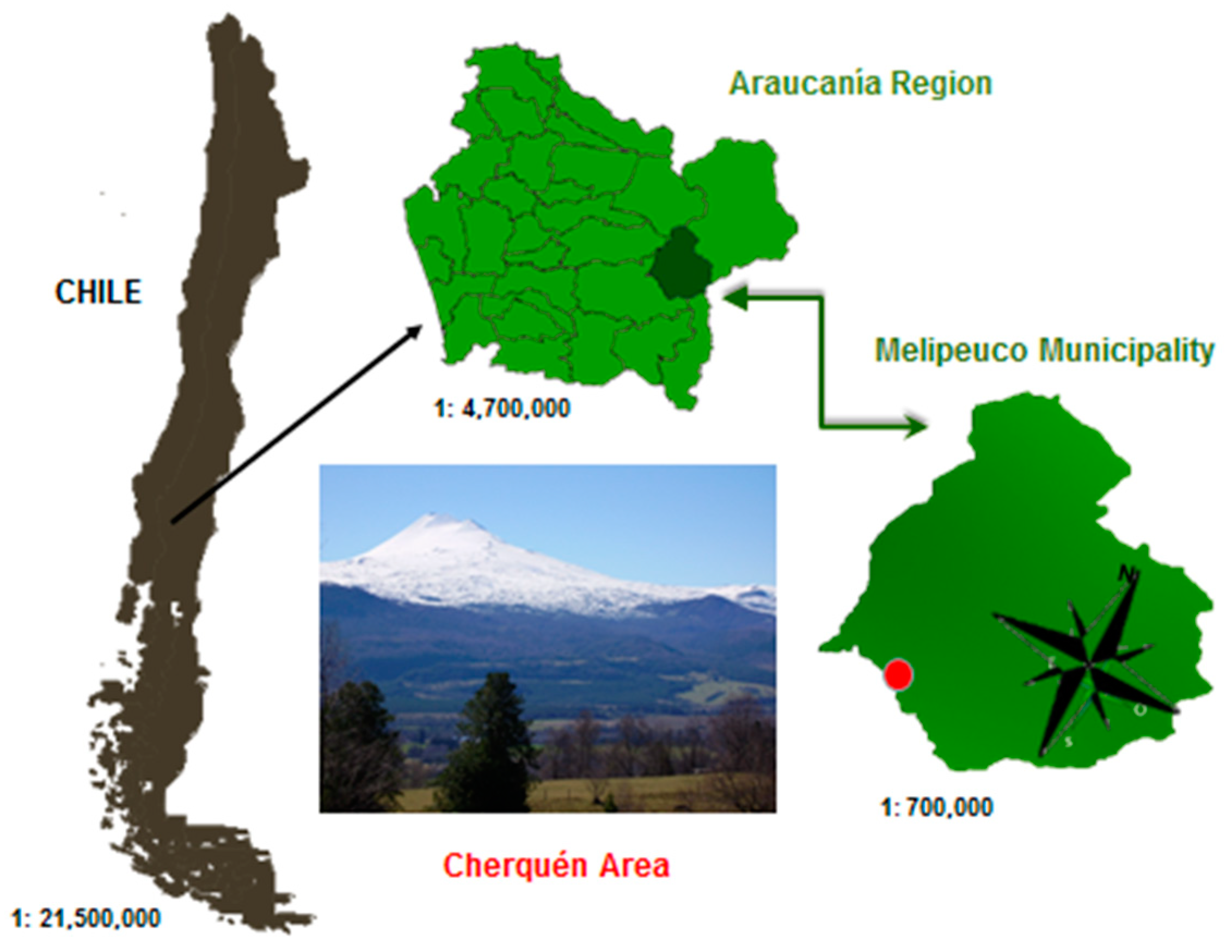 Sustainability 12 10401 g001