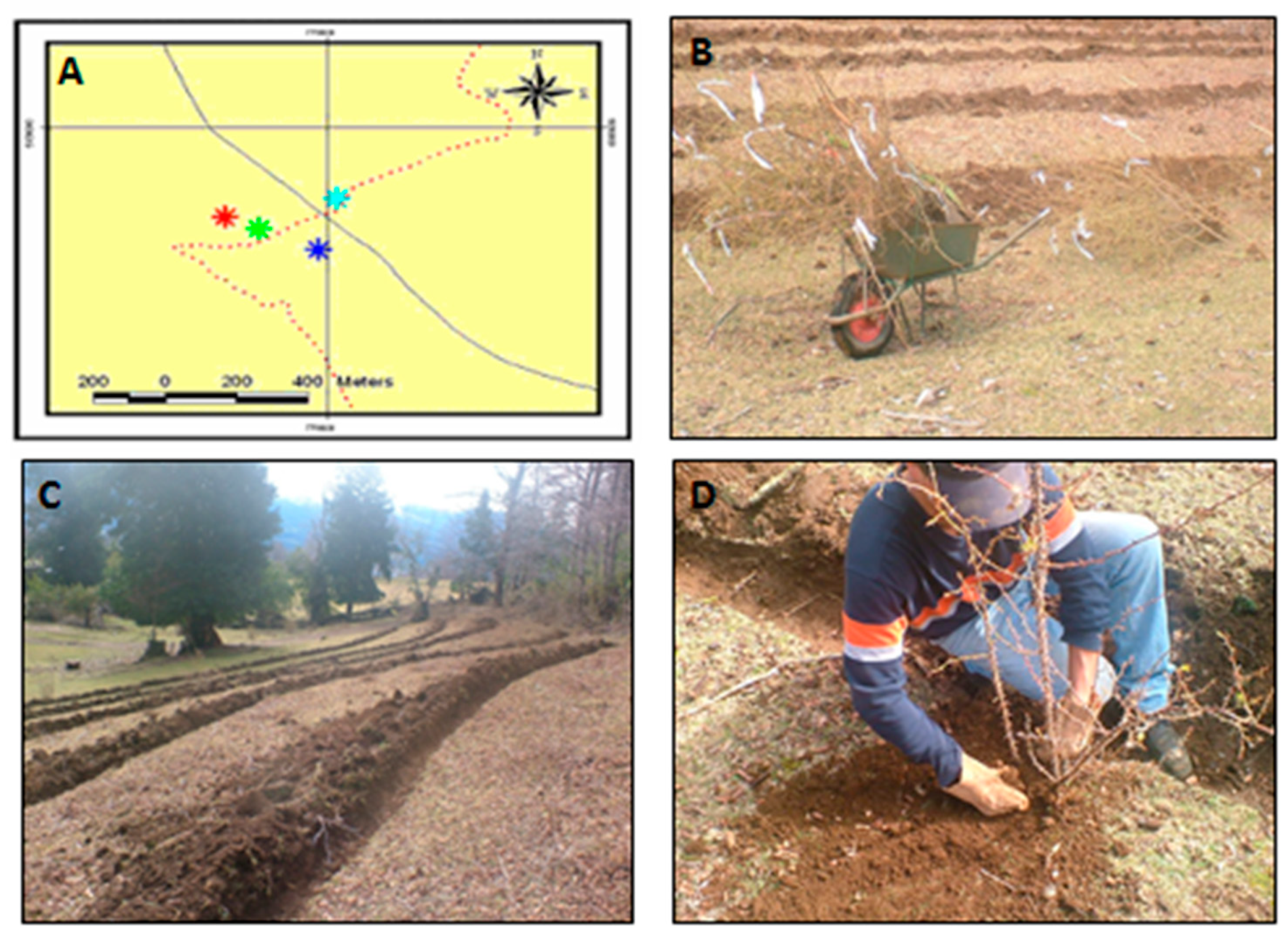 Sustainability 12 10401 g004