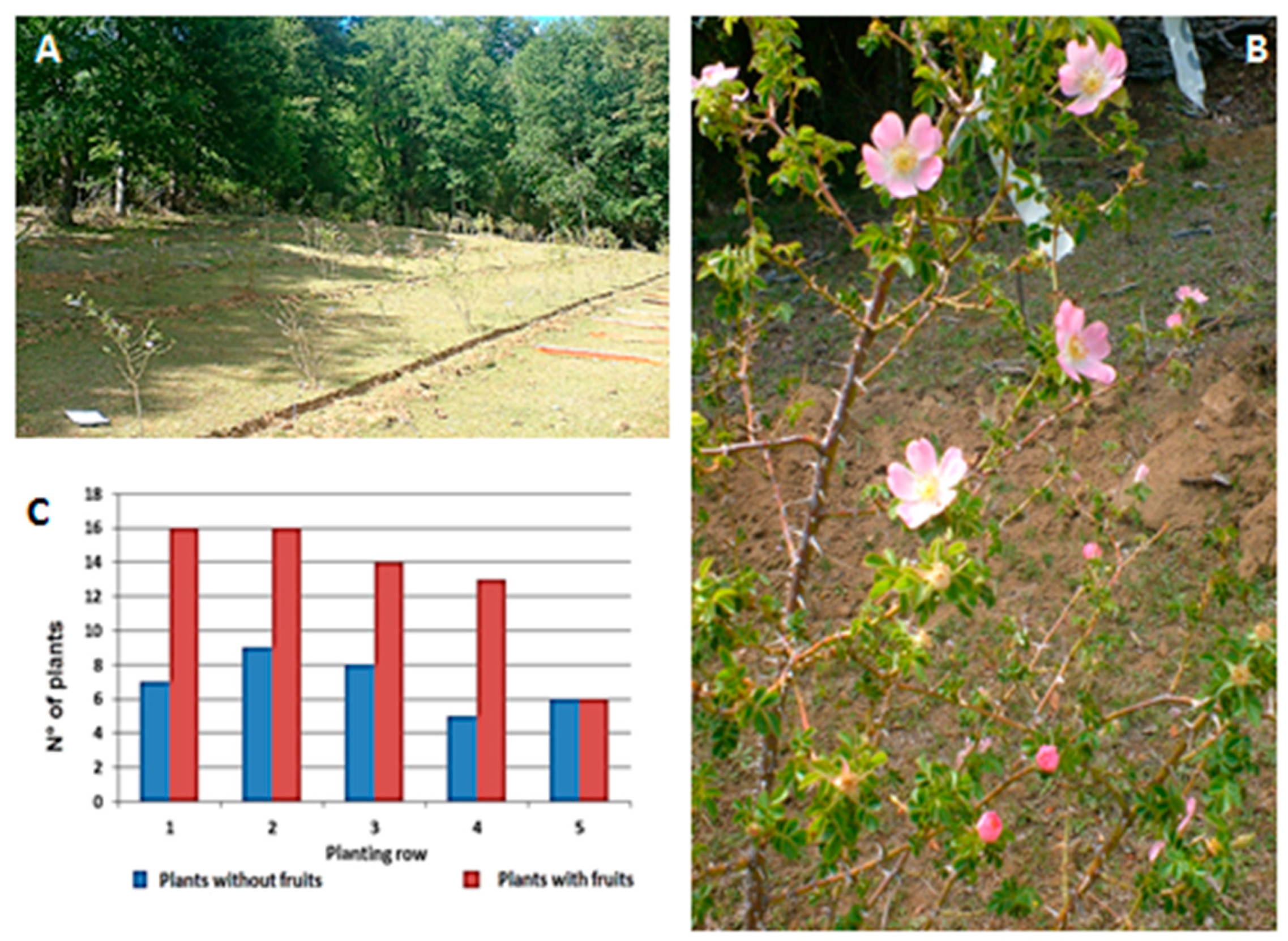 Sustainability 12 10401 g005