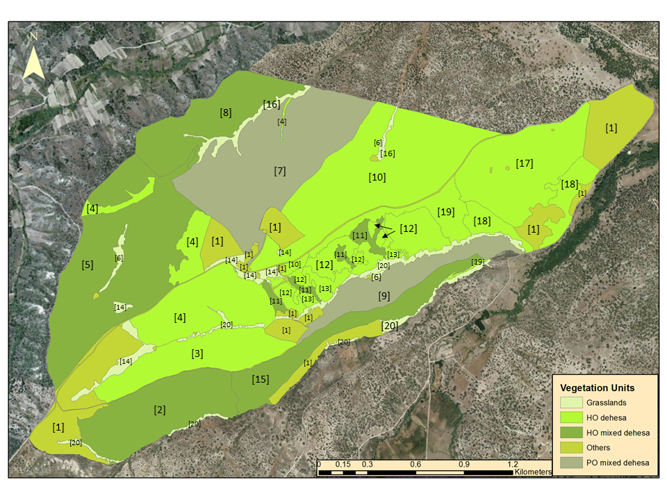 Sustainability 12 10442 g001
