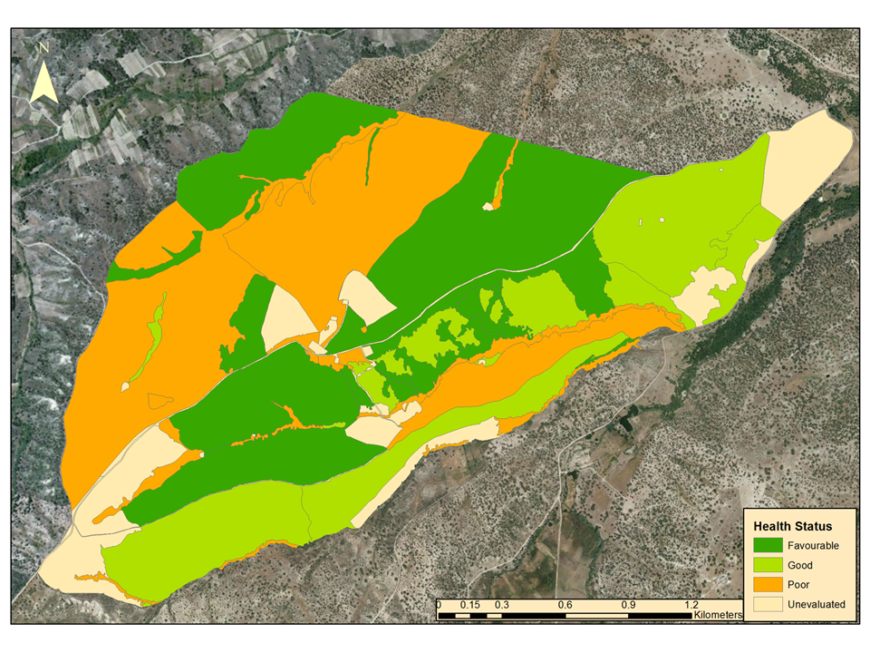 Sustainability 12 10442 g004