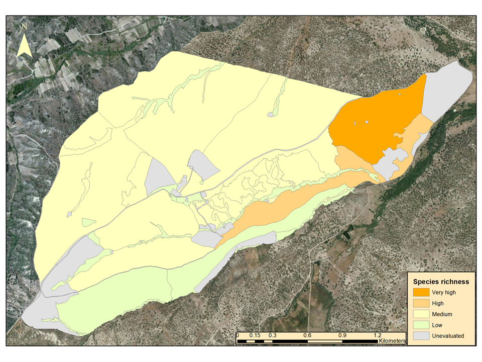 Sustainability 12 10442 g005