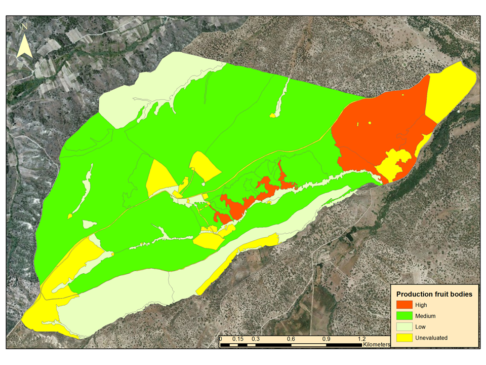 Sustainability 12 10442 g006